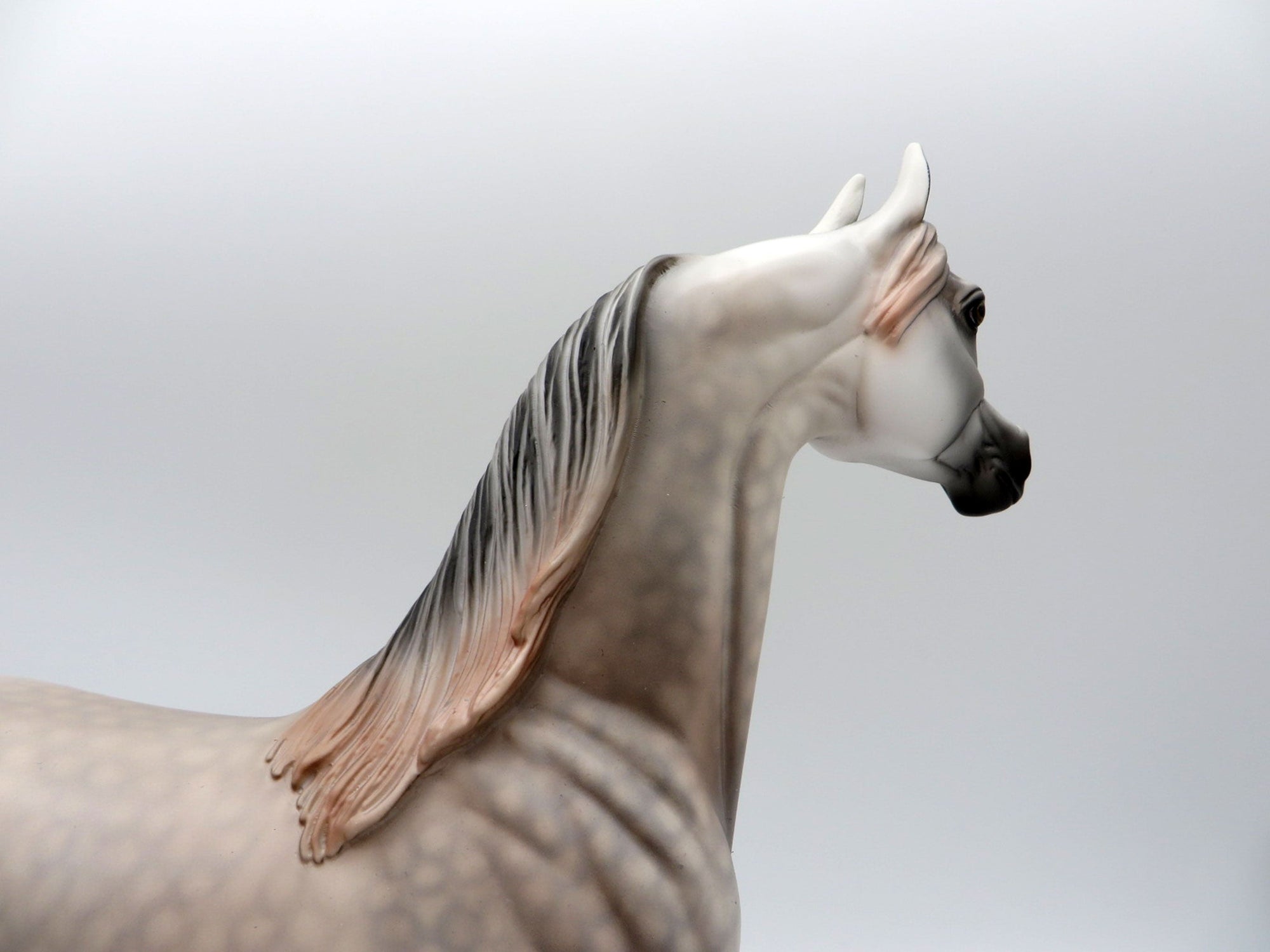 Cashmere-OOAK Dapple Grey Arabian Painted By Dawn Quick 5/14/21