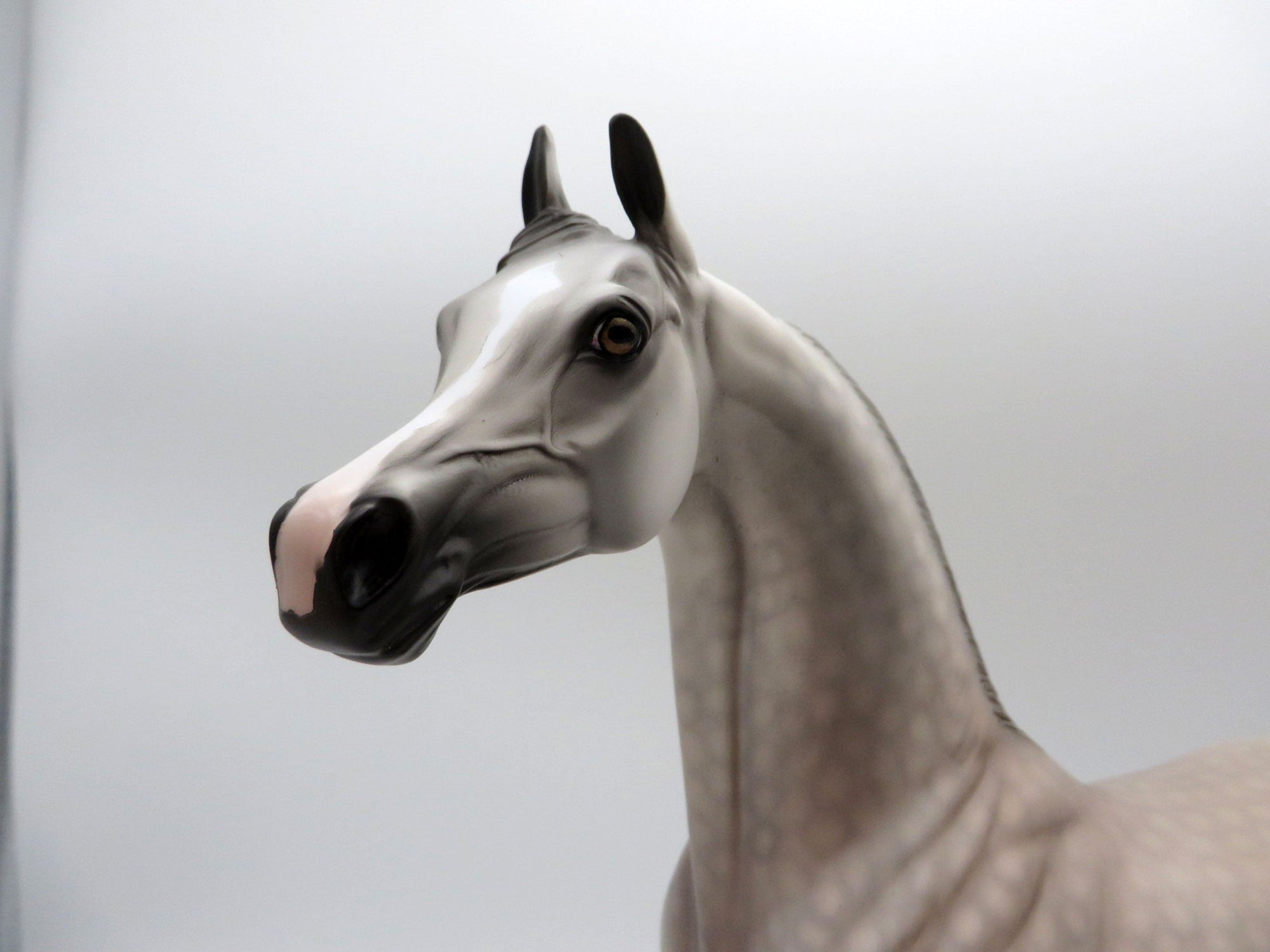 Cashmere-OOAK Dapple Grey Arabian Painted By Dawn Quick 5/14/21