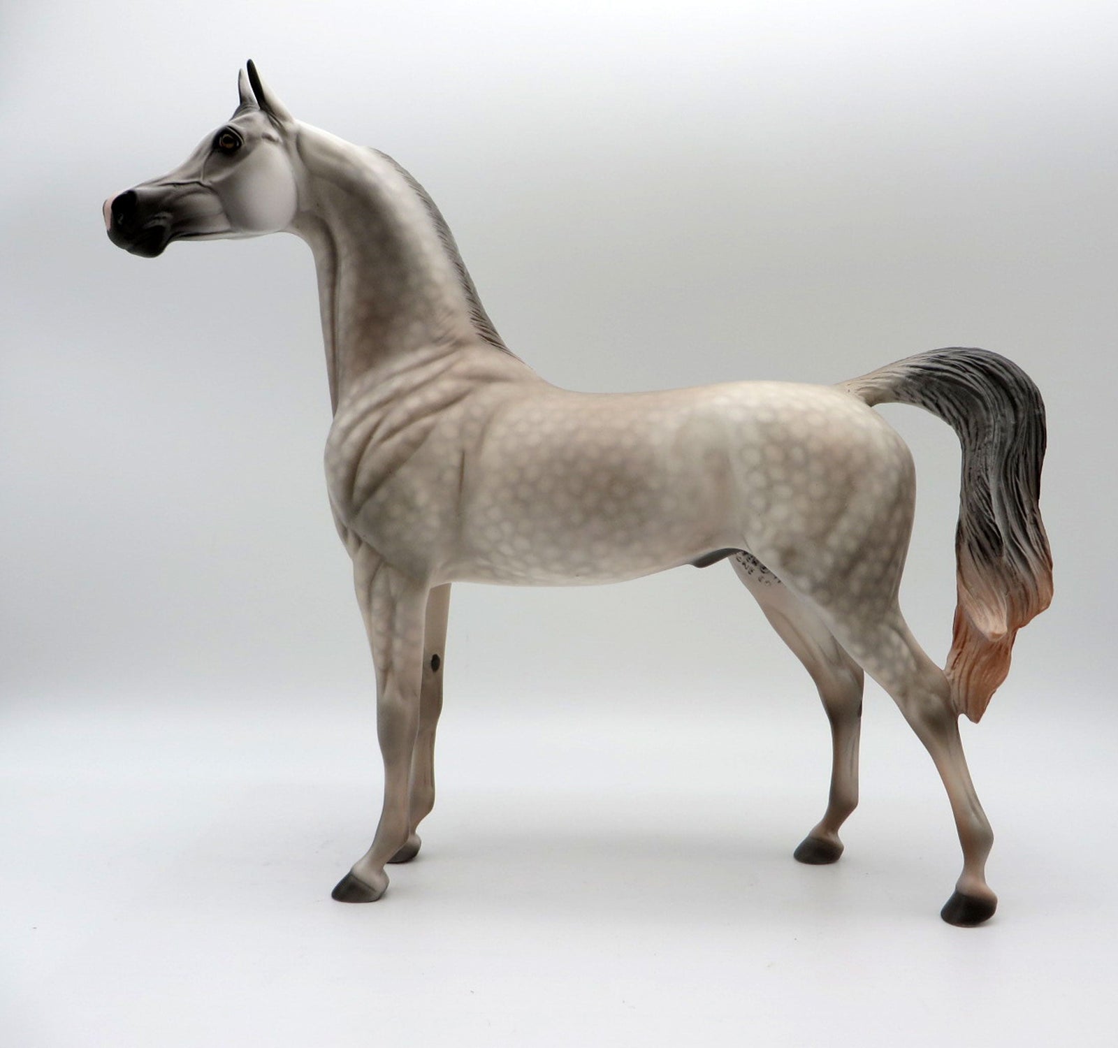 Cashmere-OOAK Dapple Grey Arabian Painted By Dawn Quick 5/14/21