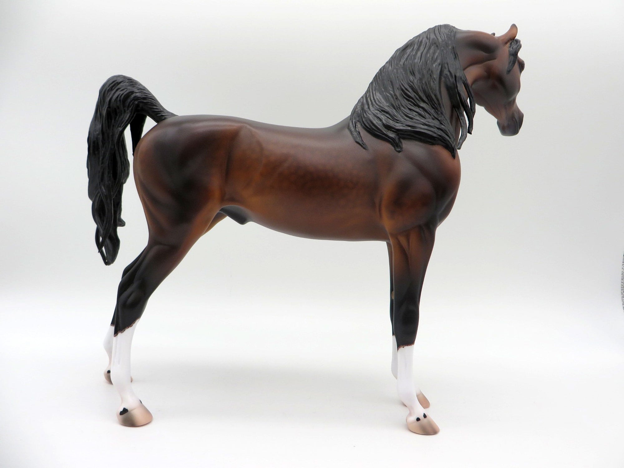 Caspian-OOAK Bay Arabian  Painted By Caroline Boydston