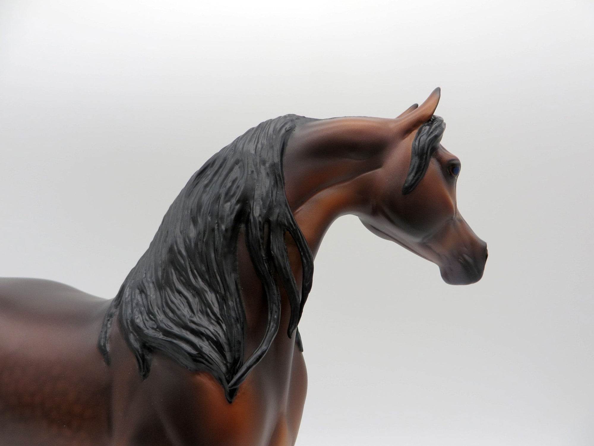 Caspian-OOAK Bay Arabian  Painted By Caroline Boydston