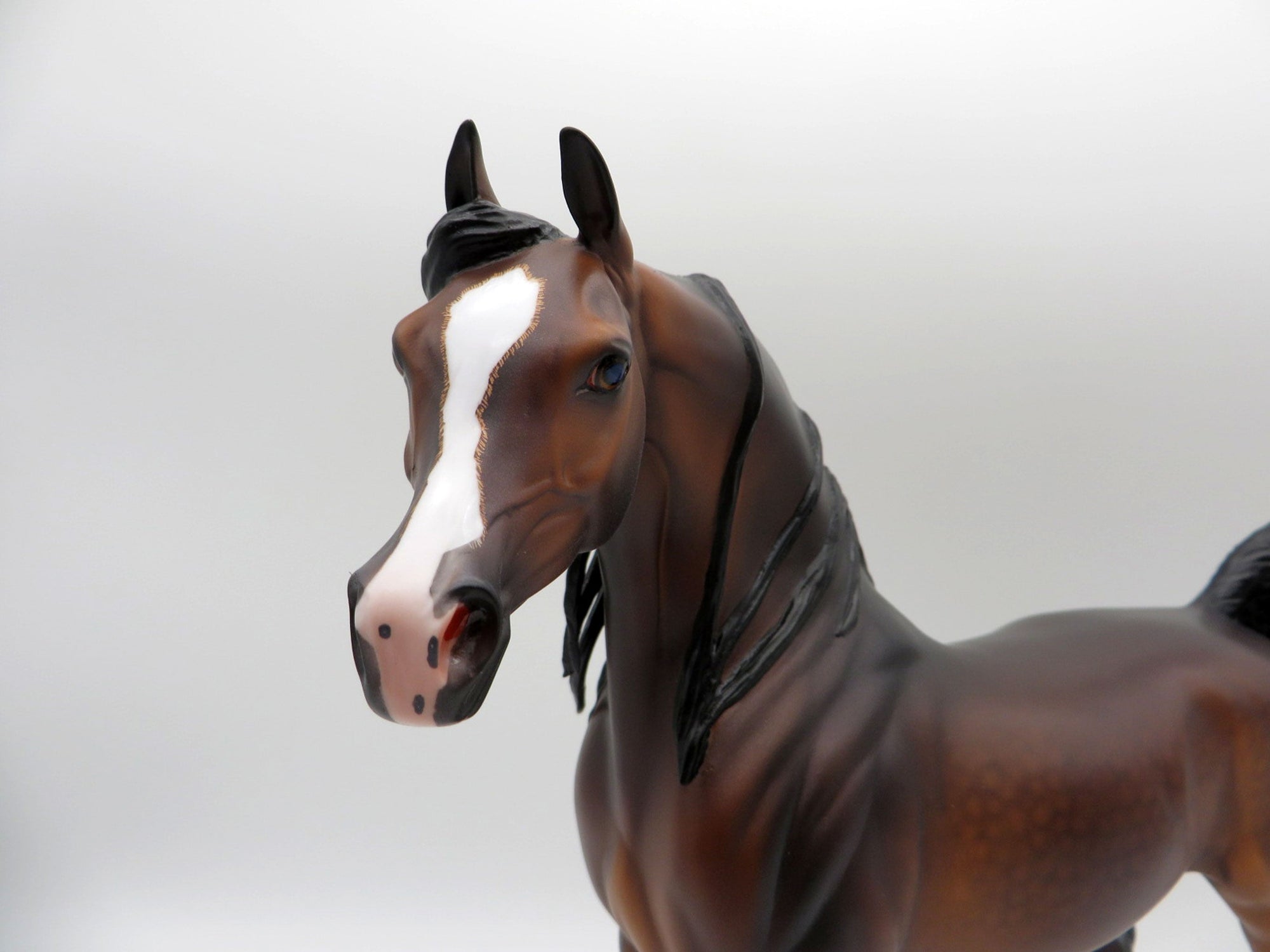 Caspian-OOAK Bay Arabian  Painted By Caroline Boydston