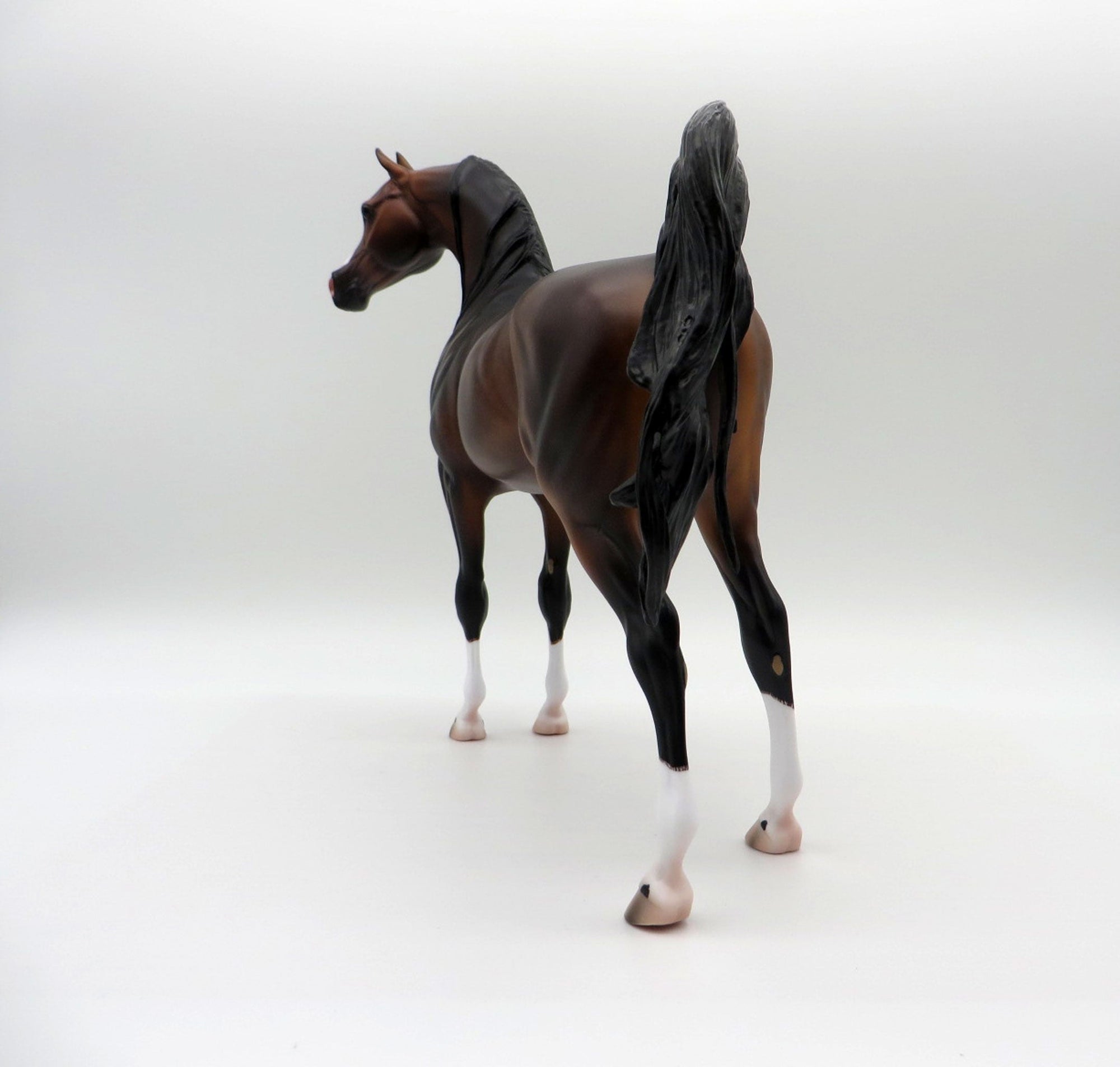 Caspian-OOAK Bay Arabian  Painted By Caroline Boydston