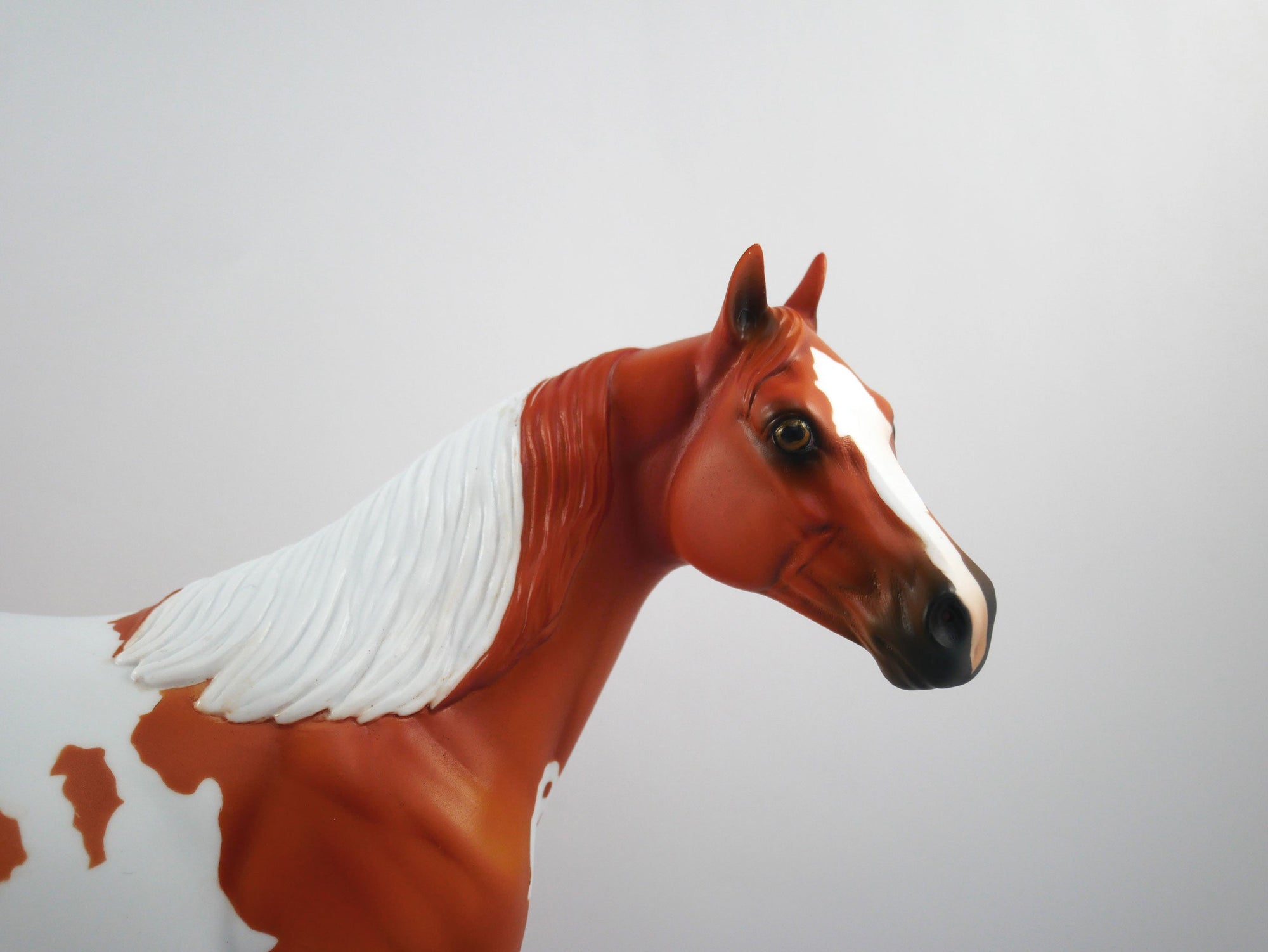 Catch The Pass-OOAK Chestnut Paint ISH  SB21