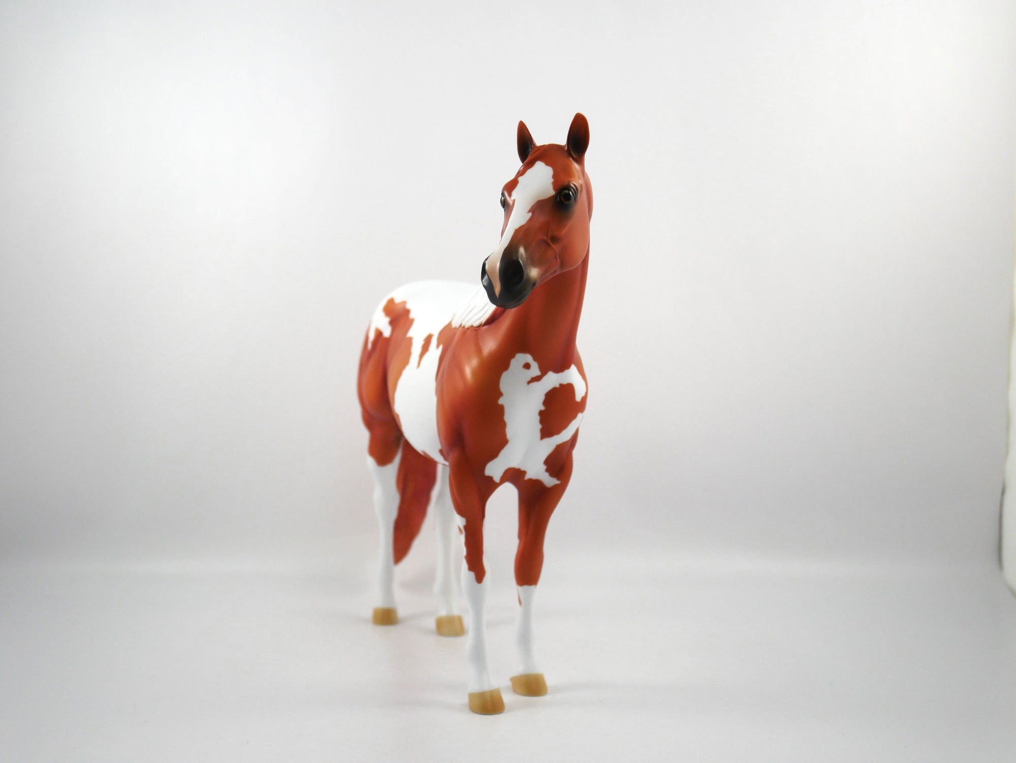 Catch The Pass-OOAK Chestnut Paint ISH  SB21