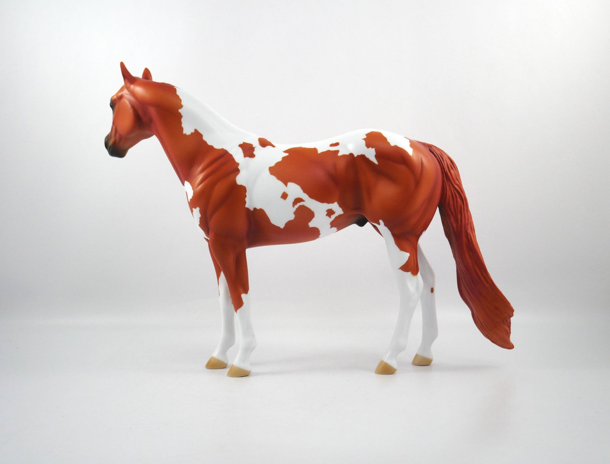 Catch The Pass-OOAK Chestnut Paint ISH  SB21