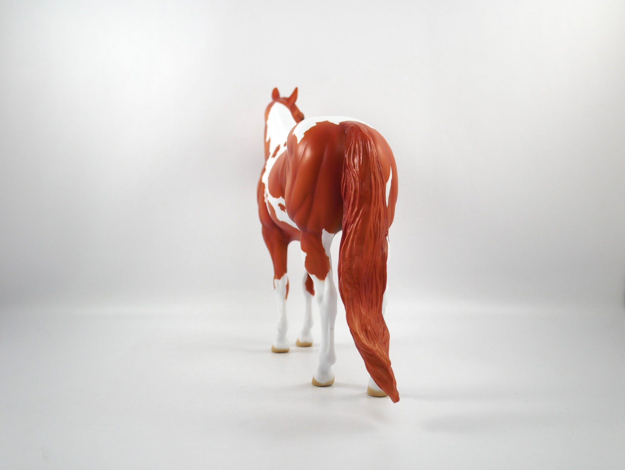 Catch The Pass-OOAK Chestnut Paint ISH  SB21