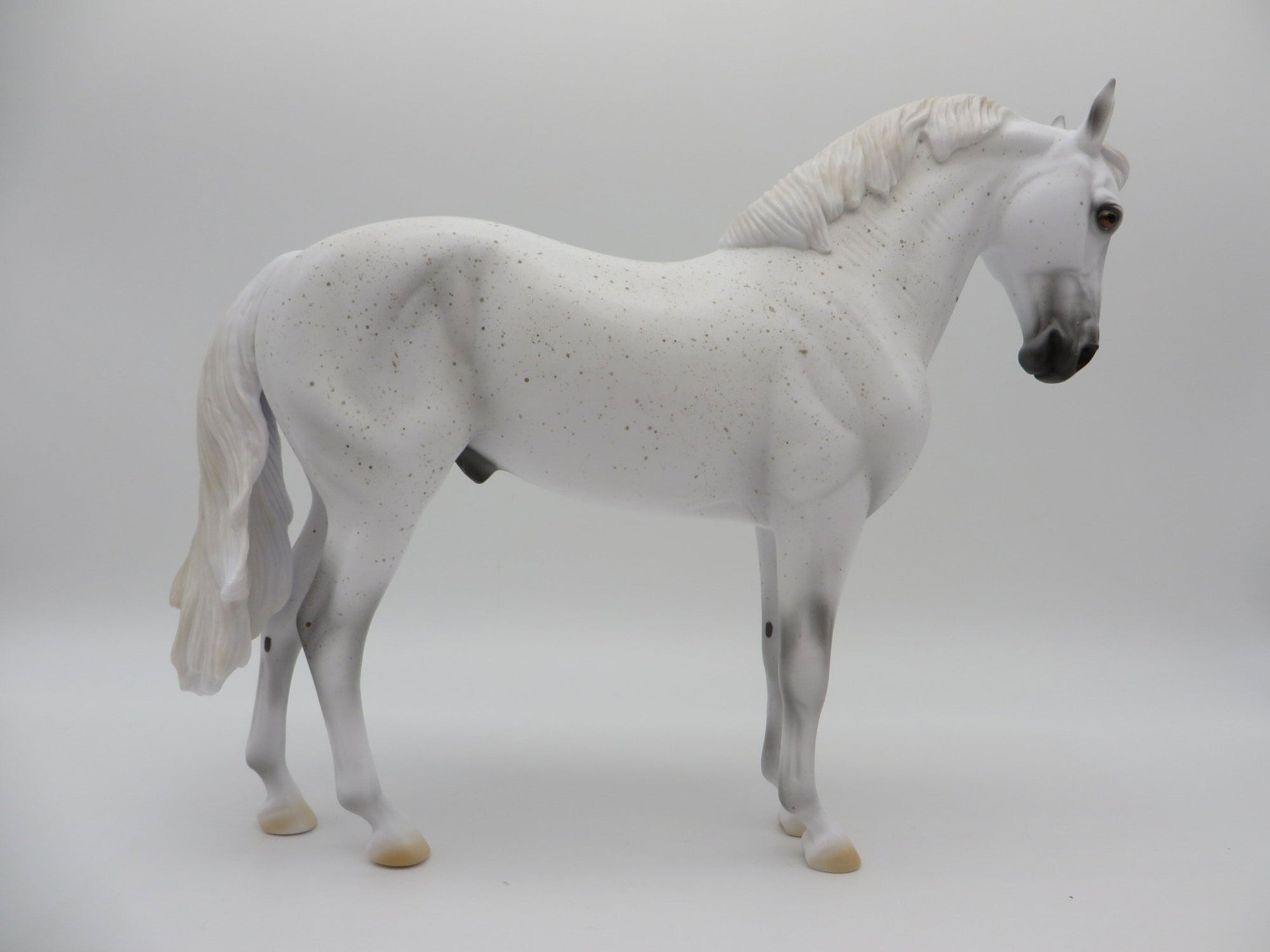 Major League-AKA..Catcher-LE-30 Fleabit Grey Andalusian painted by Ellen Robbins EQ 2021