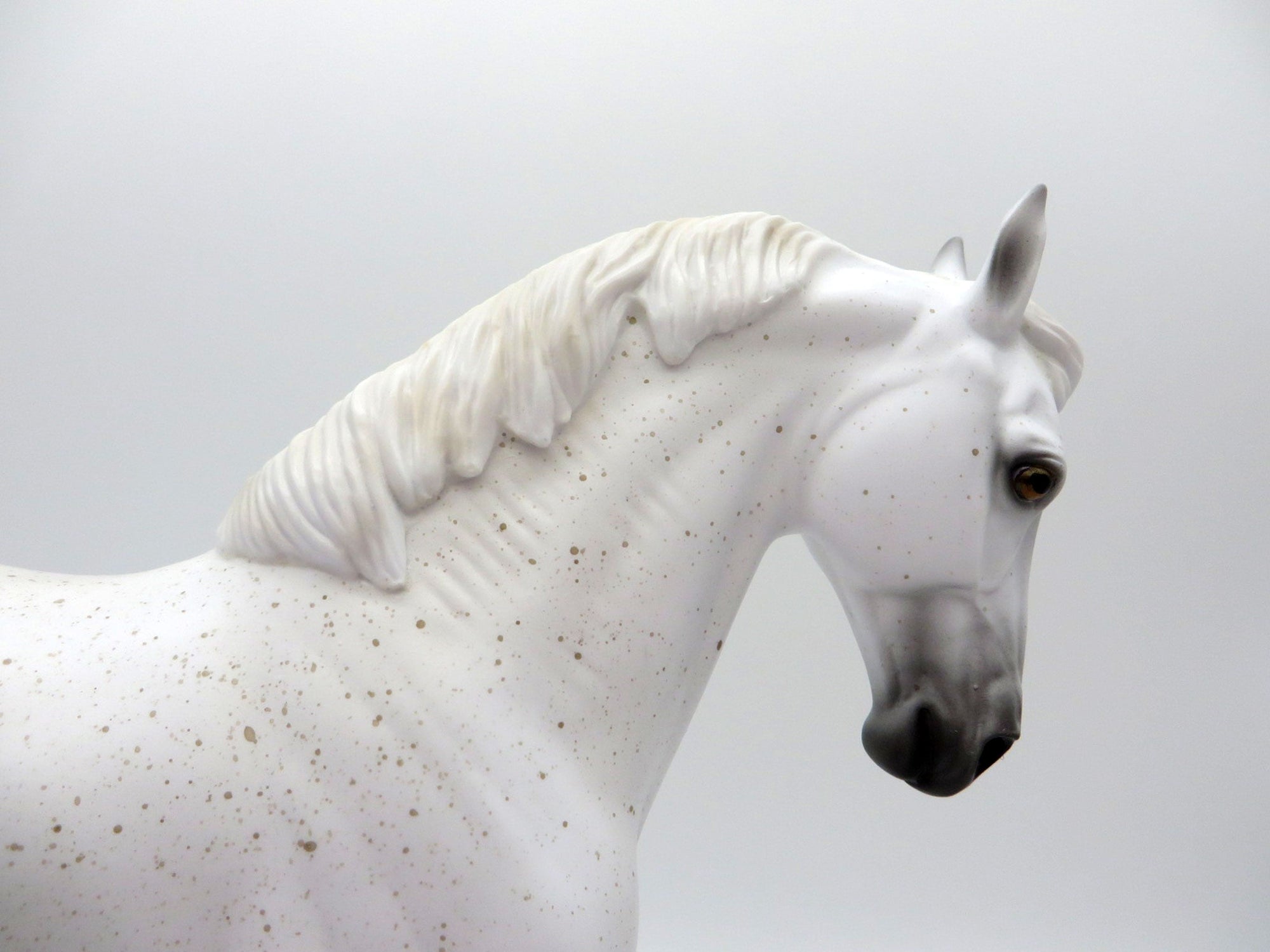 Major League-AKA..Catcher-LE-30 Fleabit Grey Andalusian painted by Ellen Robbins EQ 2021