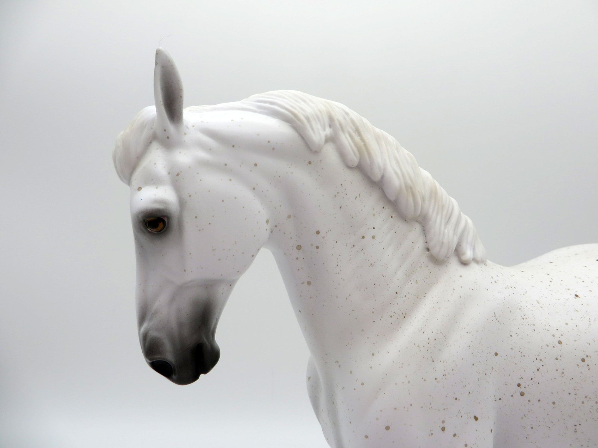 Major League-AKA..Catcher-LE-30 Fleabit Grey Andalusian painted by Ellen Robbins EQ 2021