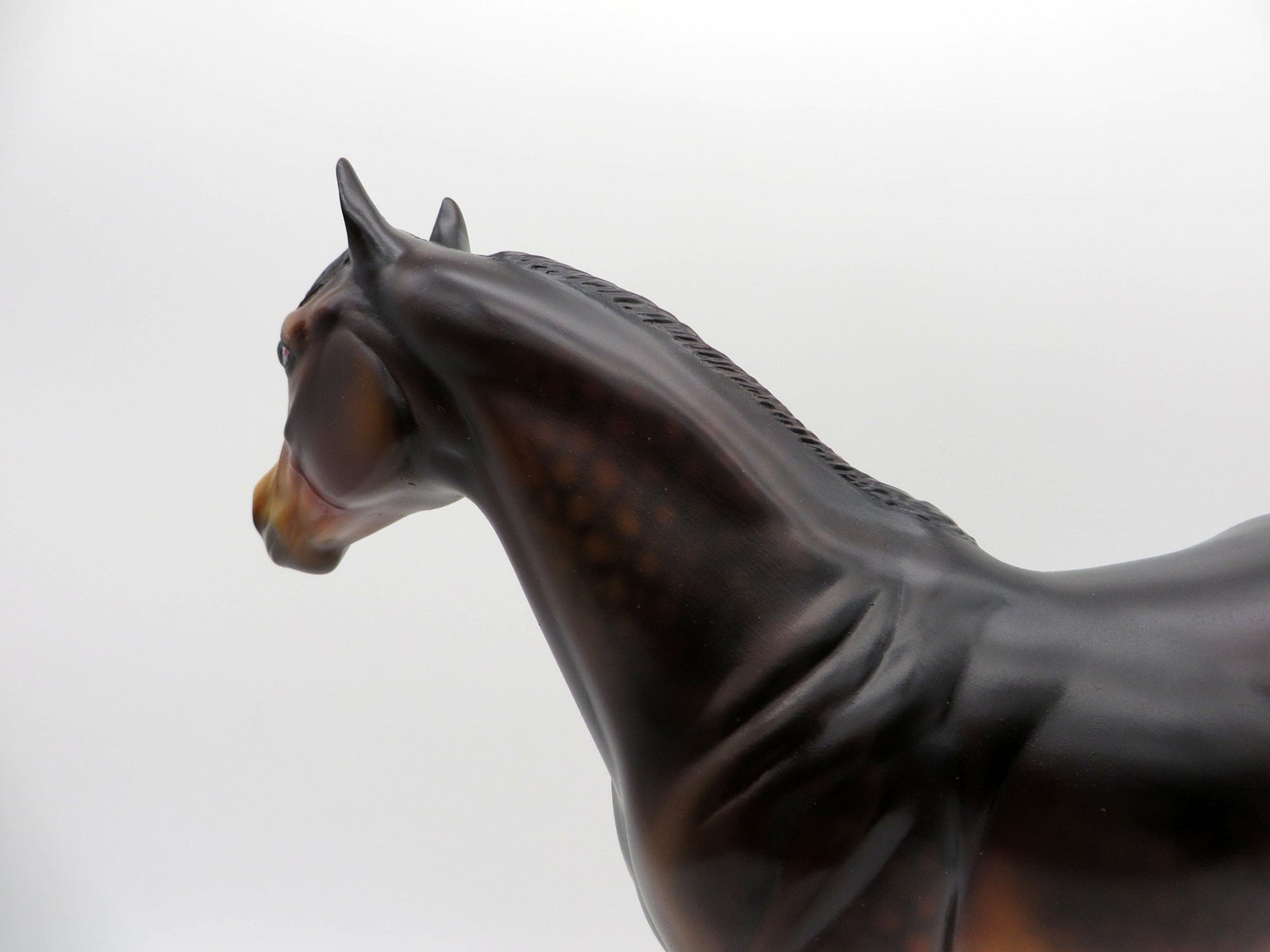 Catfish-OOAK Dapple Bay ISH Painted BY Dawn Quick  7/16/21