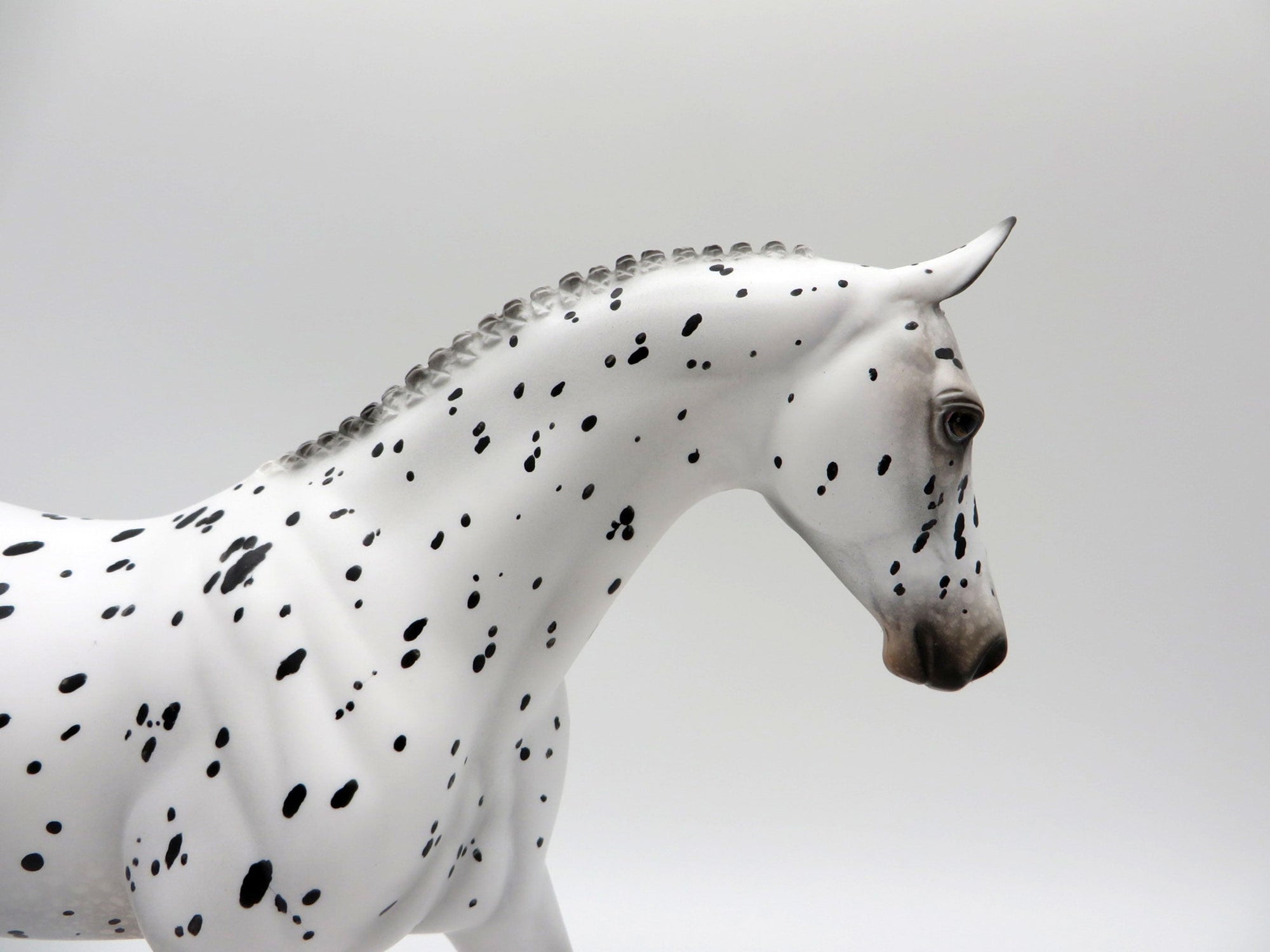 Catmint-OOAK Loud Appaloosa Pony SHCF 2021