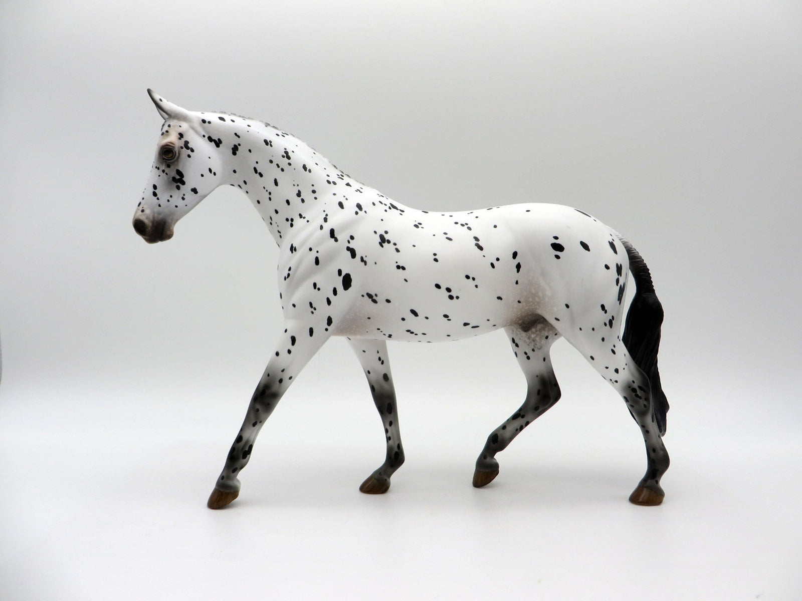 Catmint-OOAK Loud Appaloosa Pony SHCF 2021