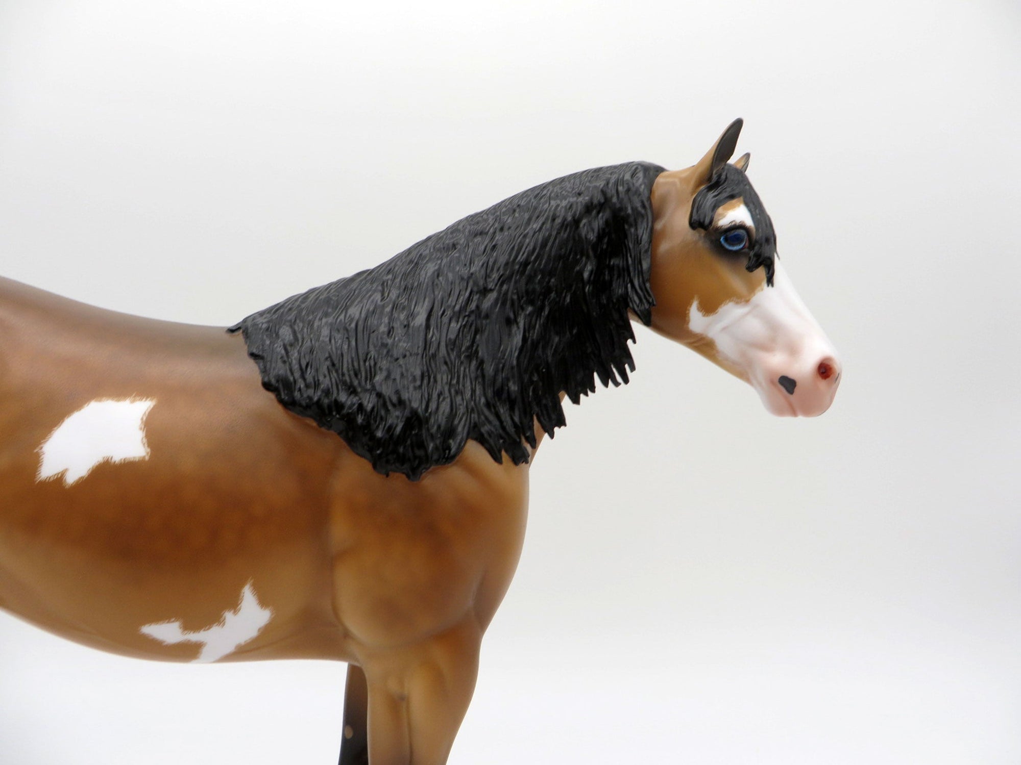 Cavell-OOAK Dun ISH Pinto Painted By Caroline Boydston 7/12/21