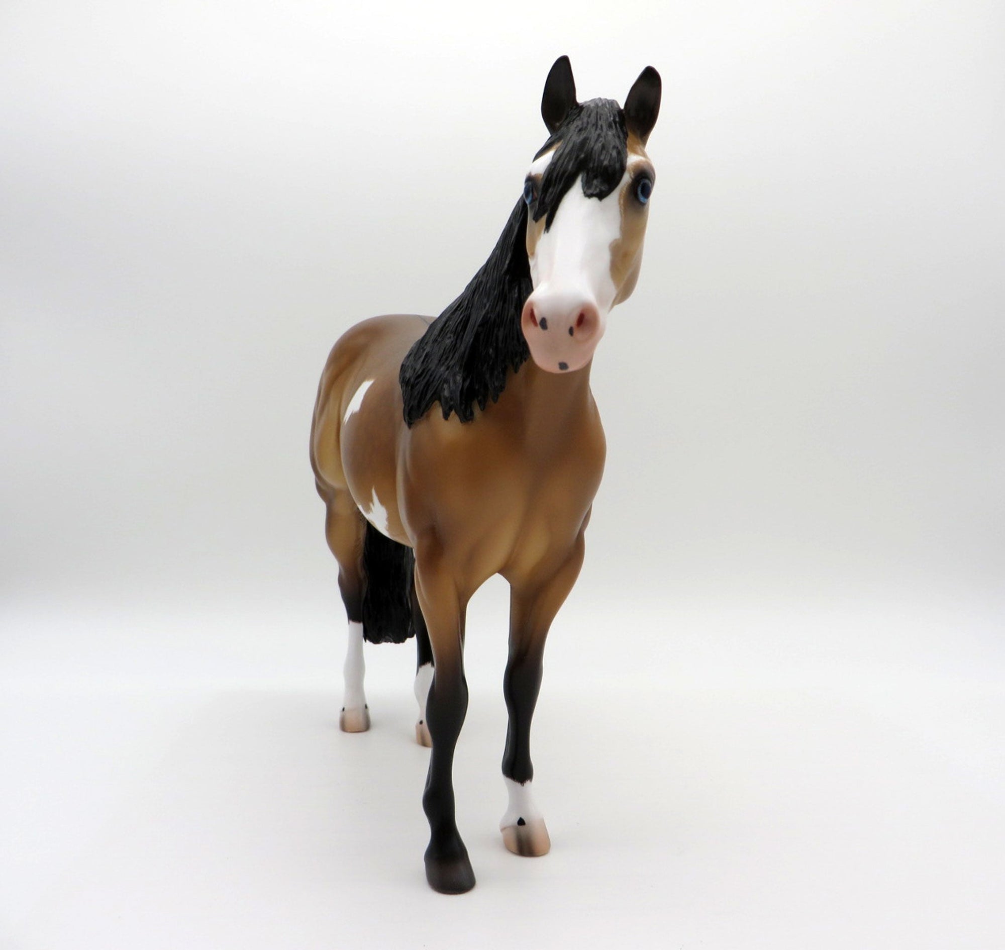 Cavell-OOAK Dun ISH Pinto Painted By Caroline Boydston 7/12/21