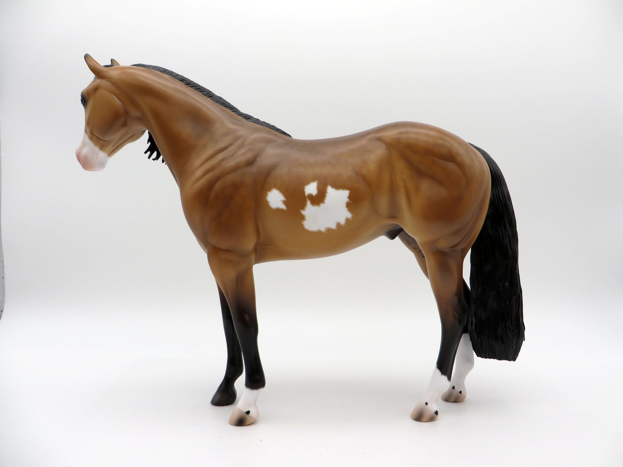 Cavell-OOAK Dun ISH Pinto Painted By Caroline Boydston 7/12/21