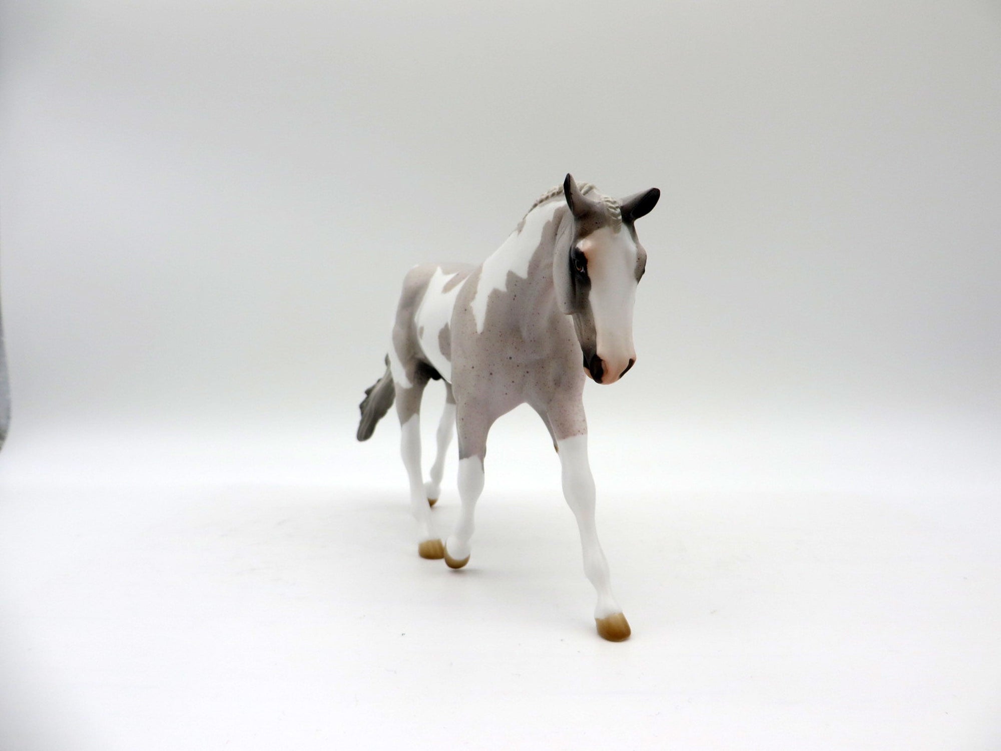 Caymus-OOAK Fleabit Roan Warmblood Pinto Pebbles 5/21/21