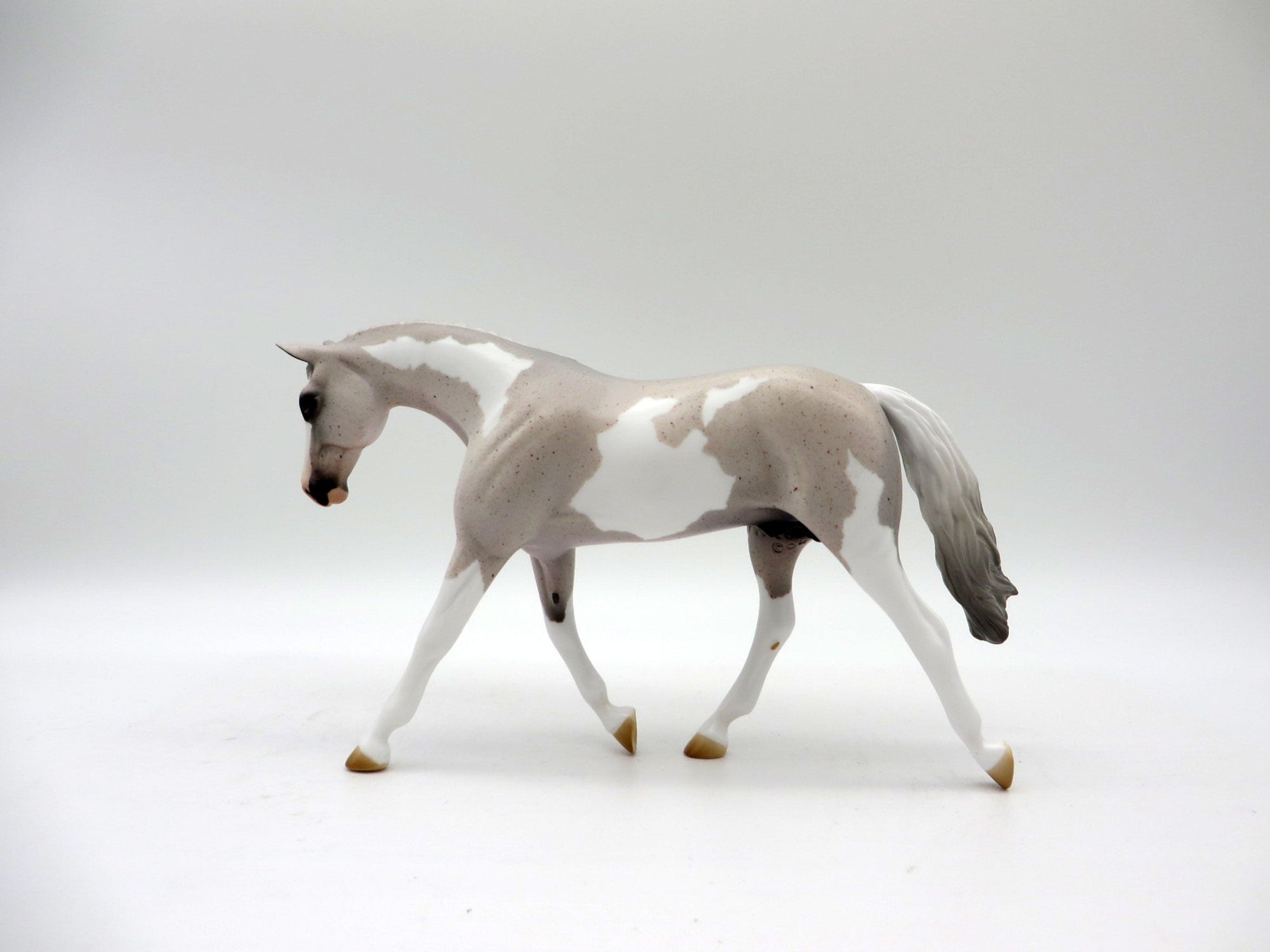 Caymus-OOAK Fleabit Roan Warmblood Pinto Pebbles 5/21/21