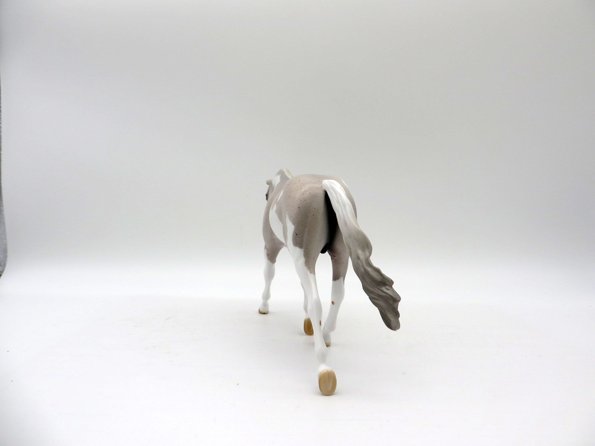 Caymus-OOAK Fleabit Roan Warmblood Pinto Pebbles 5/21/21