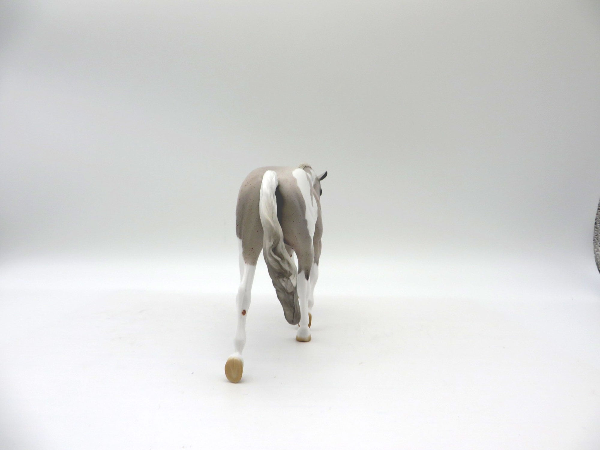 Caymus-OOAK Fleabit Roan Warmblood Pinto Pebbles 5/21/21