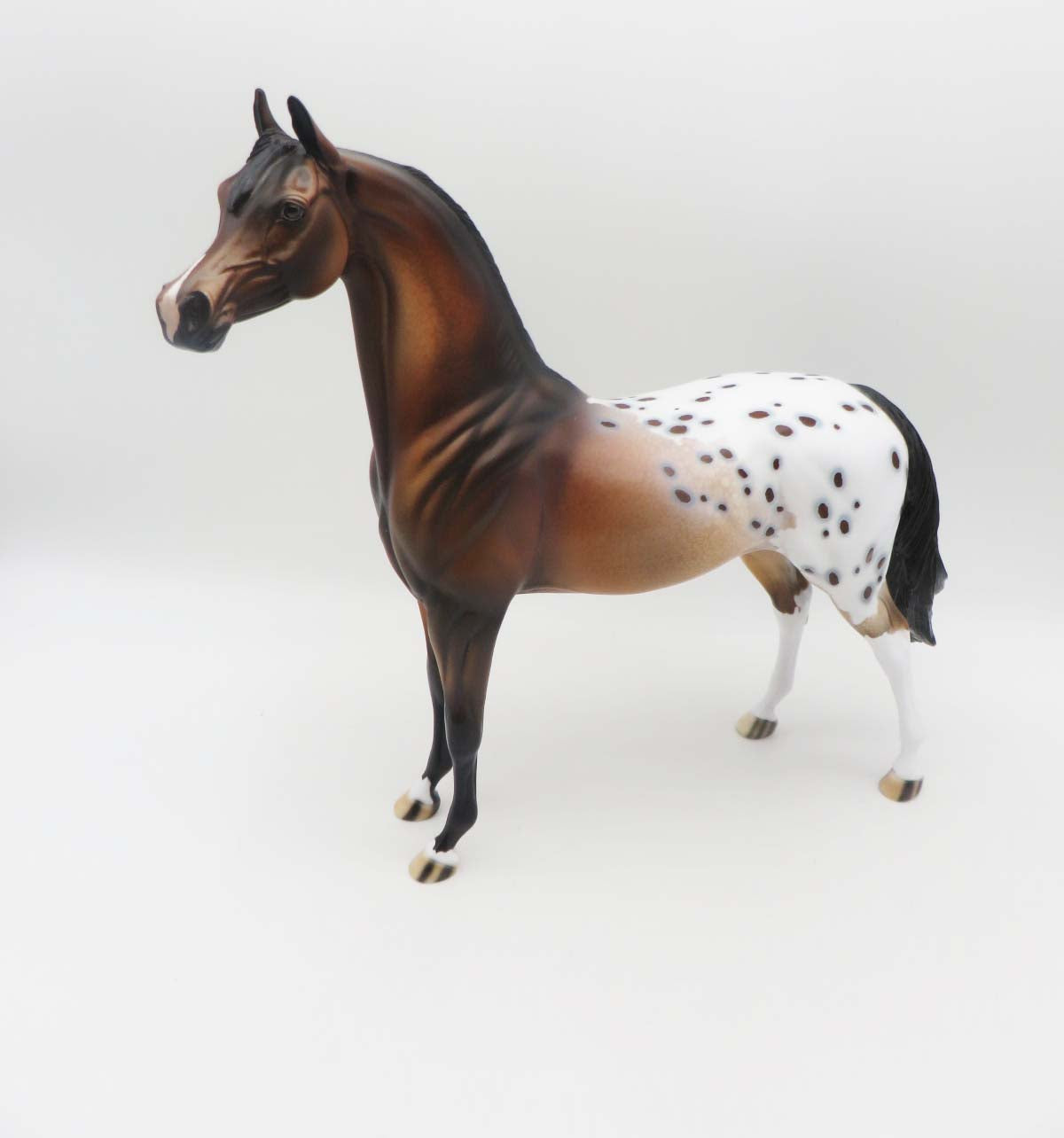 Cayuse OOAK Bay Appaloosa Arabian By Dawn Quick SHCF23