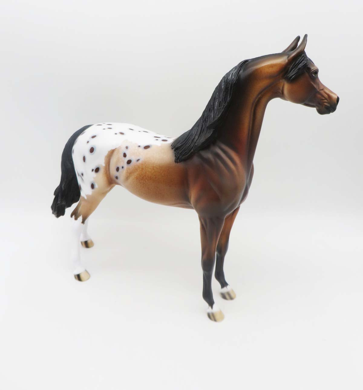 Cayuse OOAK Bay Appaloosa Arabian By Dawn Quick SHCF23
