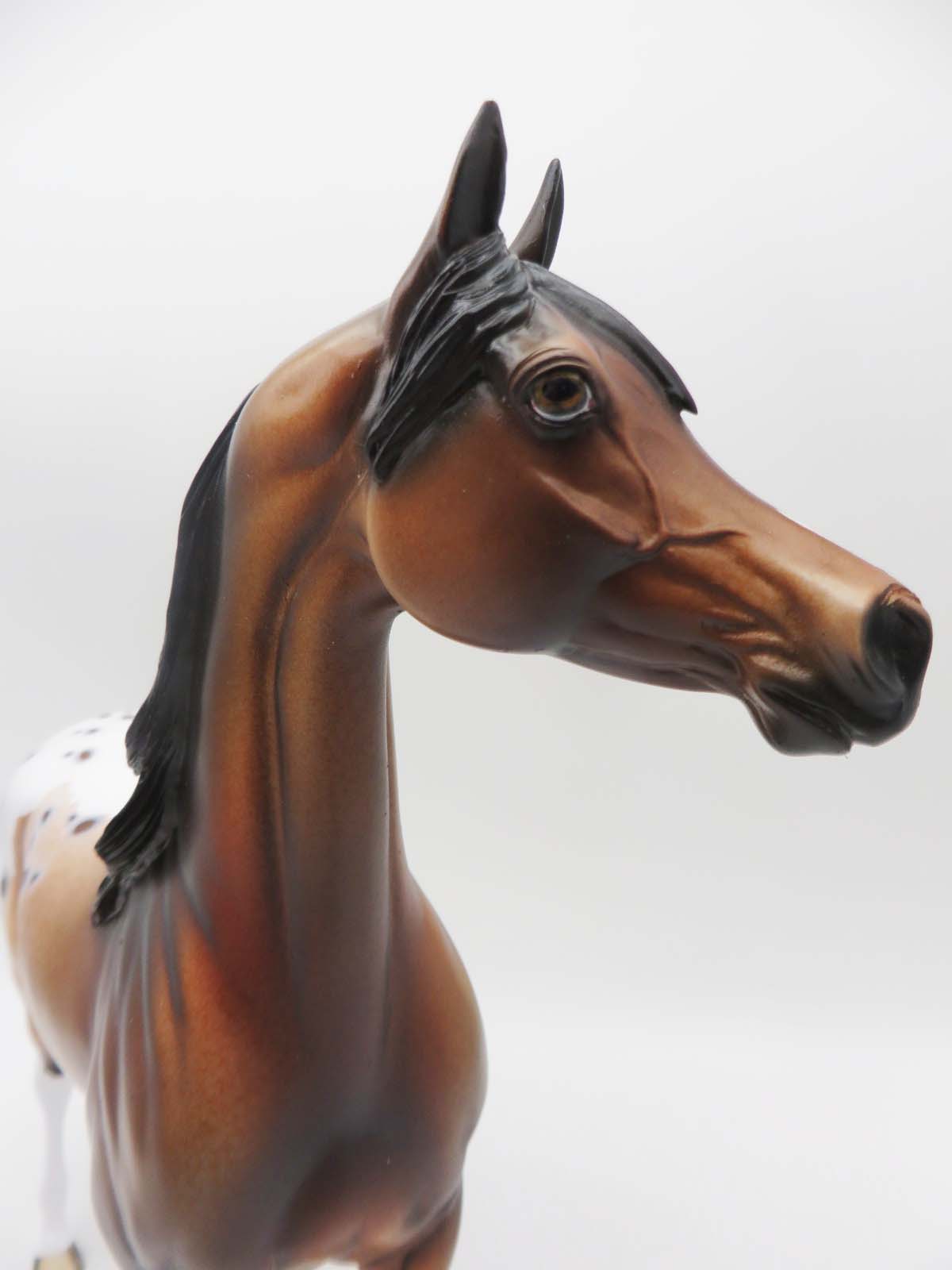 Cayuse OOAK Bay Appaloosa Arabian By Dawn Quick SHCF23