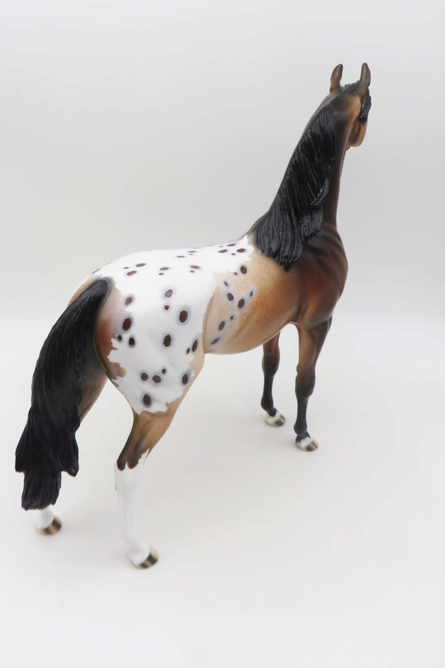 Cayuse OOAK Bay Appaloosa Arabian By Dawn Quick SHCF23
