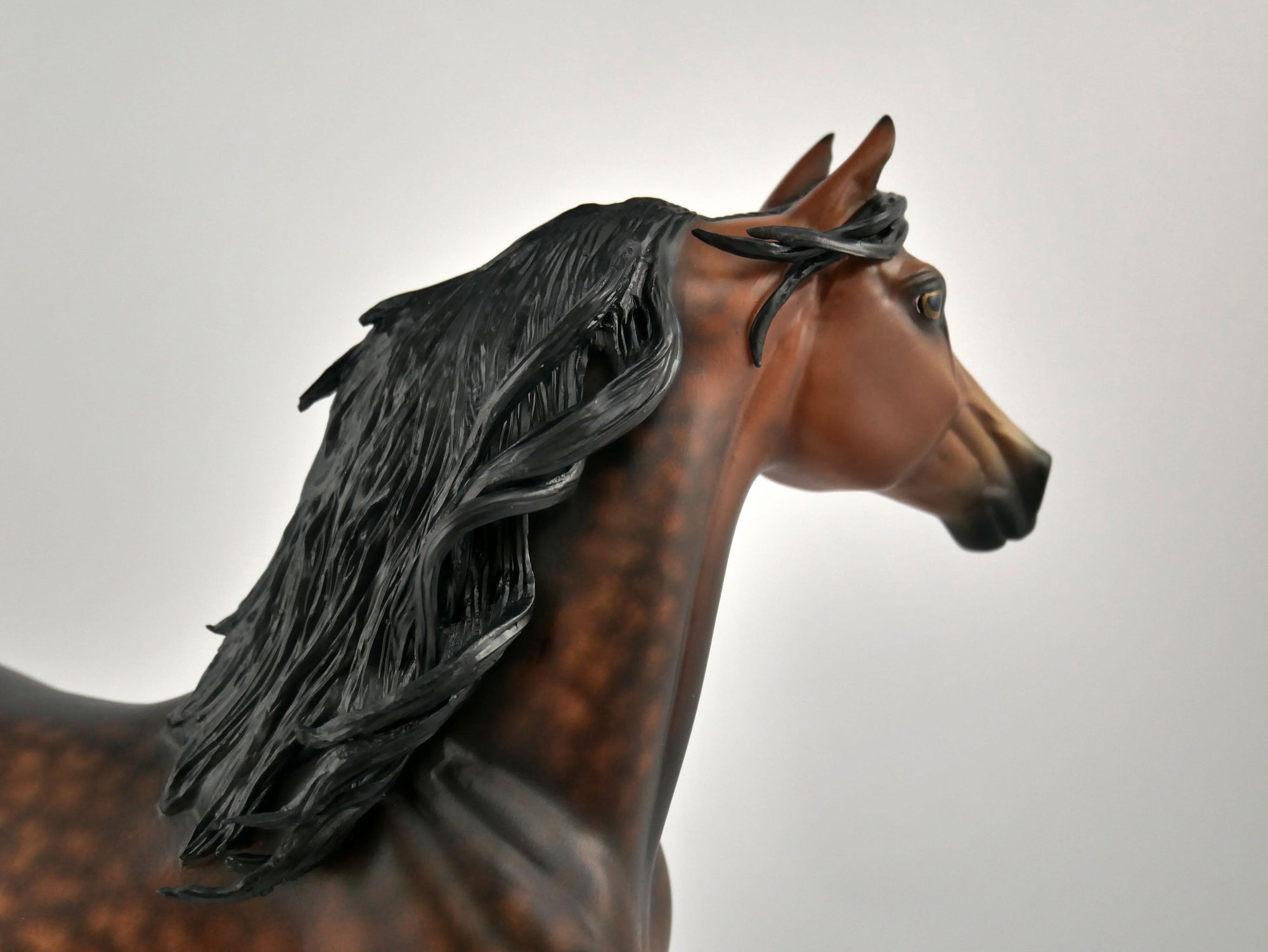 CEDRIC -OOAK DAPPLE BAY MORGAN BY SHERYL LIESURE 11/24/20