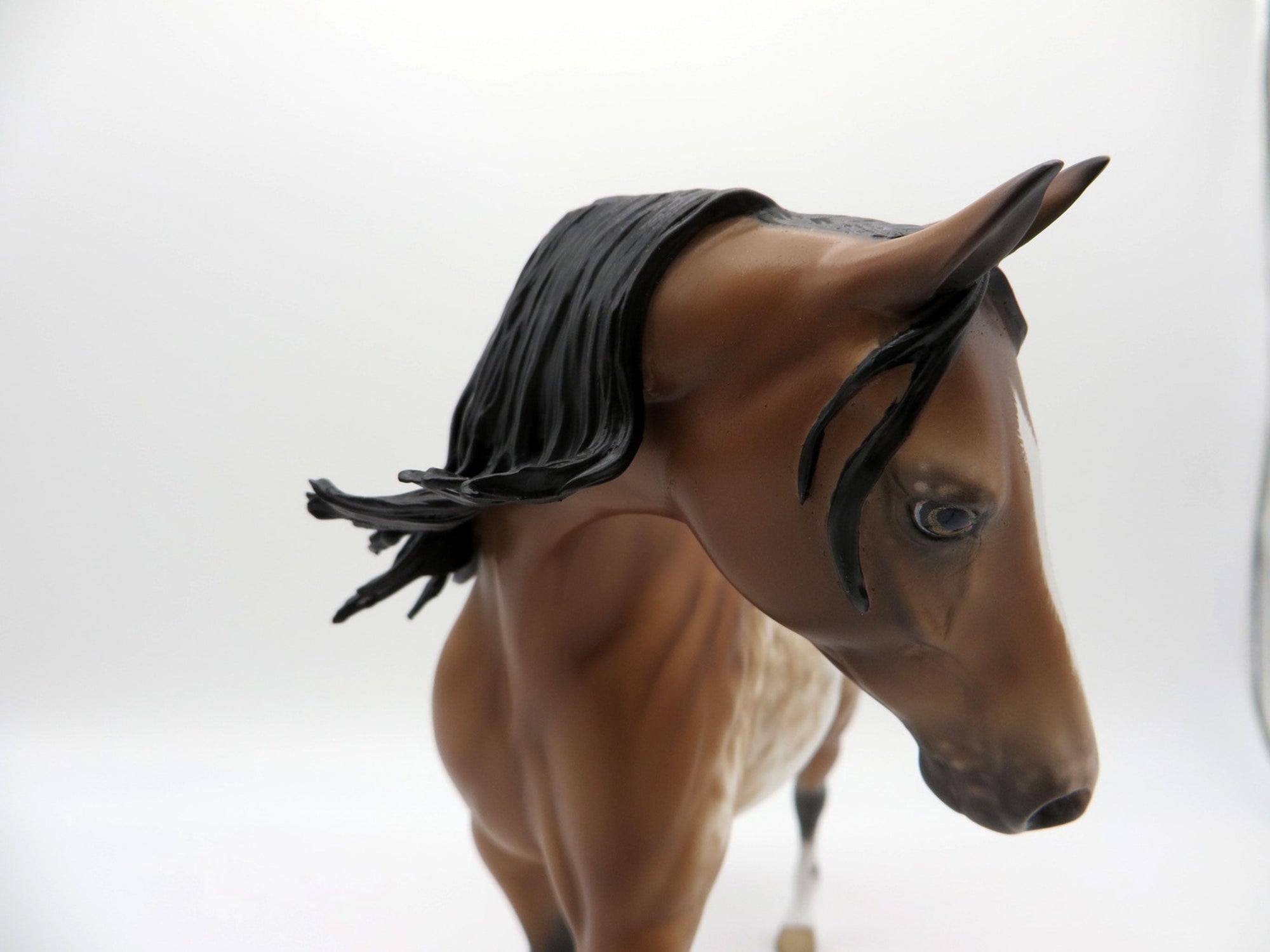 Cedric-OOAK Appaloosa Bay Pony  4/26/21