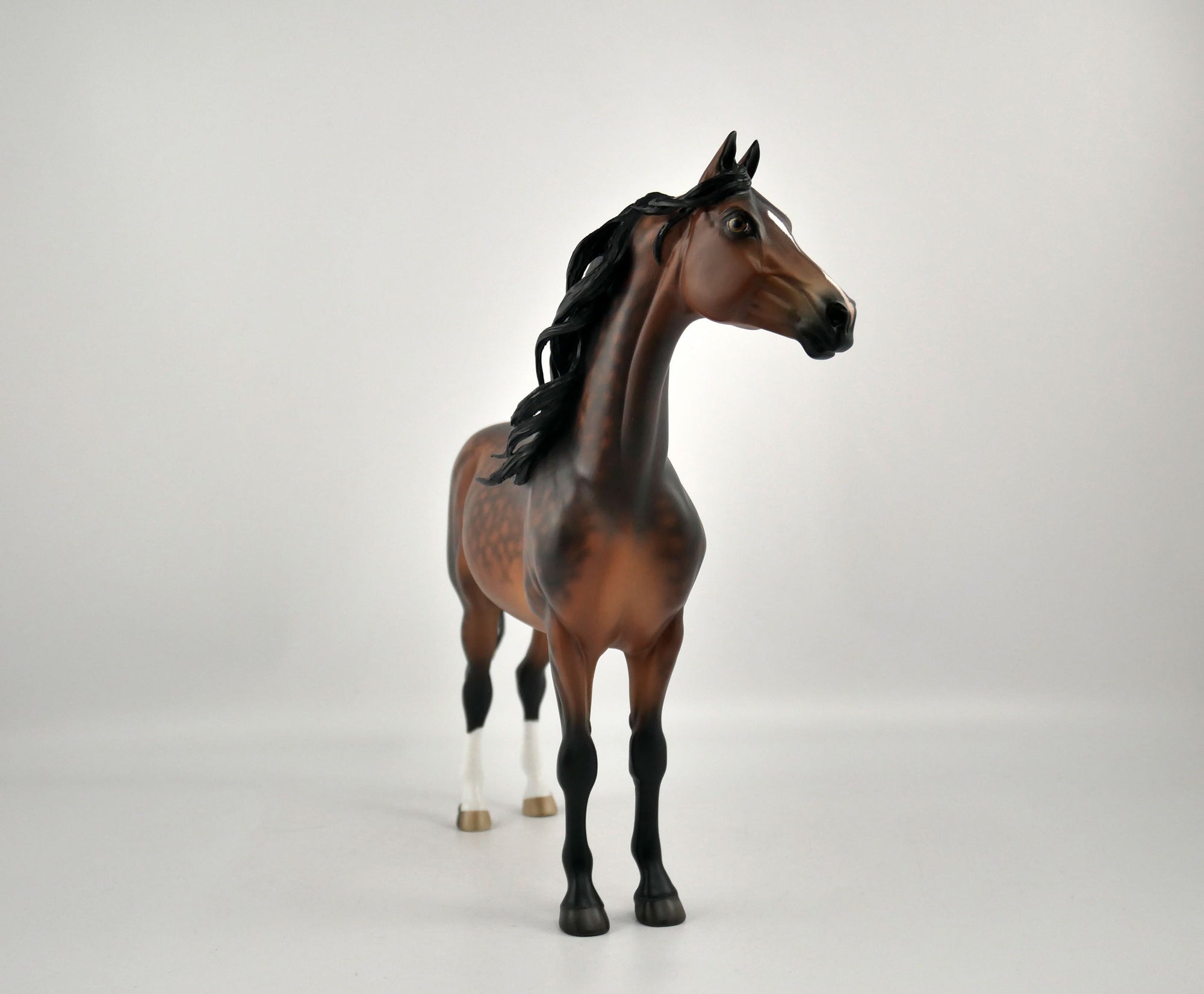 CEDRIC -OOAK DAPPLE BAY MORGAN BY SHERYL LIESURE 11/24/20