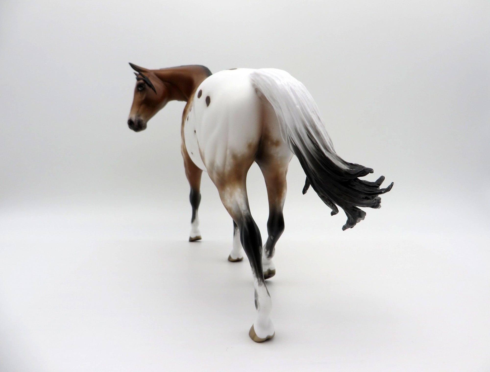 Cedric-OOAK Appaloosa Bay Pony  4/26/21