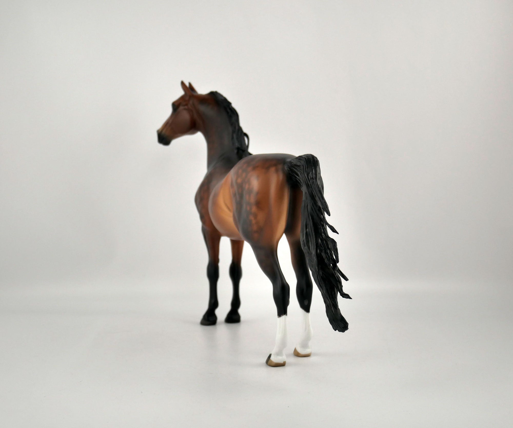 CEDRIC -OOAK DAPPLE BAY MORGAN BY SHERYL LIESURE 11/24/20