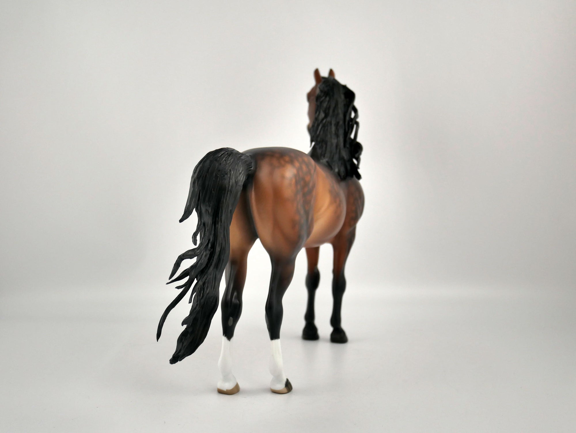 CEDRIC -OOAK DAPPLE BAY MORGAN BY SHERYL LIESURE 11/24/20