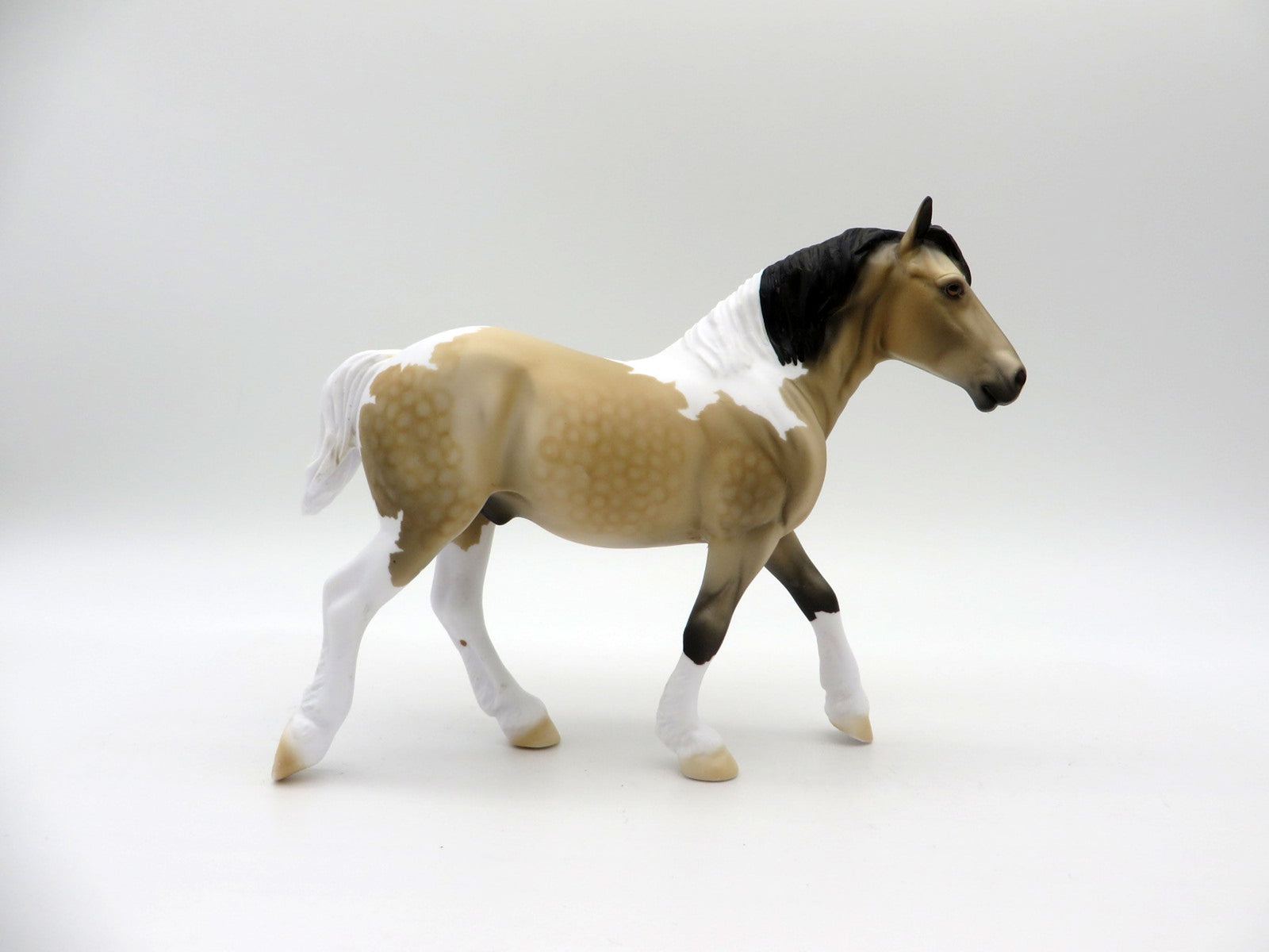 Cepheus-OOAK Dapple Buckskin Trotting Draft SHCF 2021