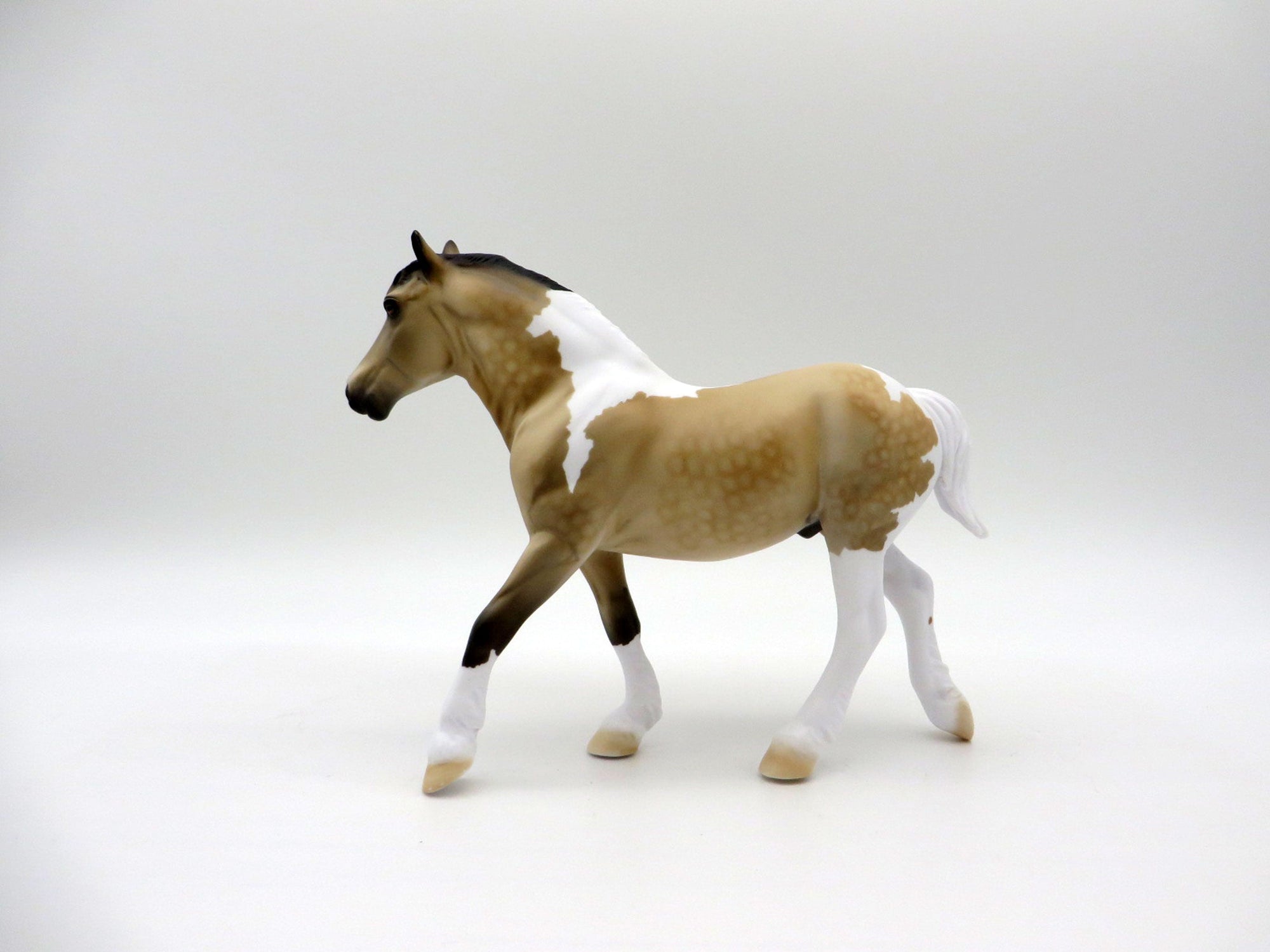 Cepheus-OOAK Dapple Buckskin Trotting Draft SHCF 2021