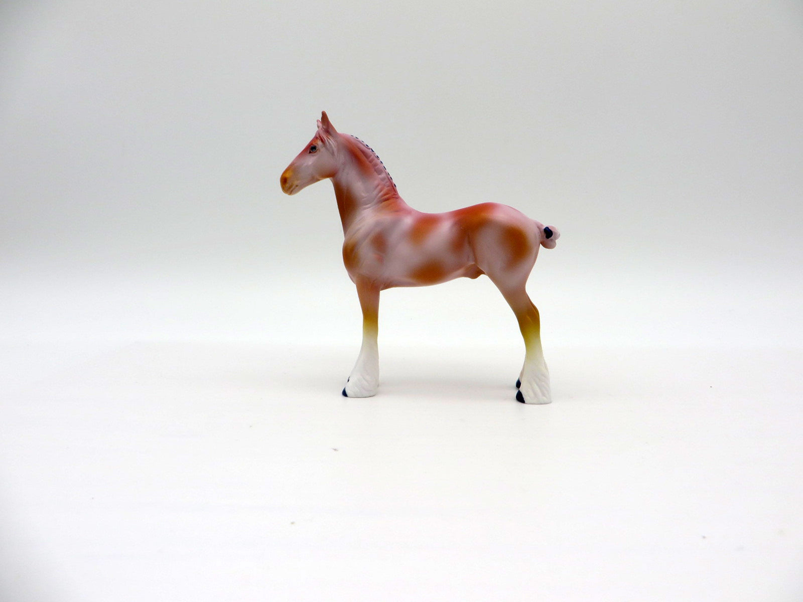 Ceratosoma-OOAK Chip Drafter Deco Sea Slug Painted By Ellen Robbins 7/16/21