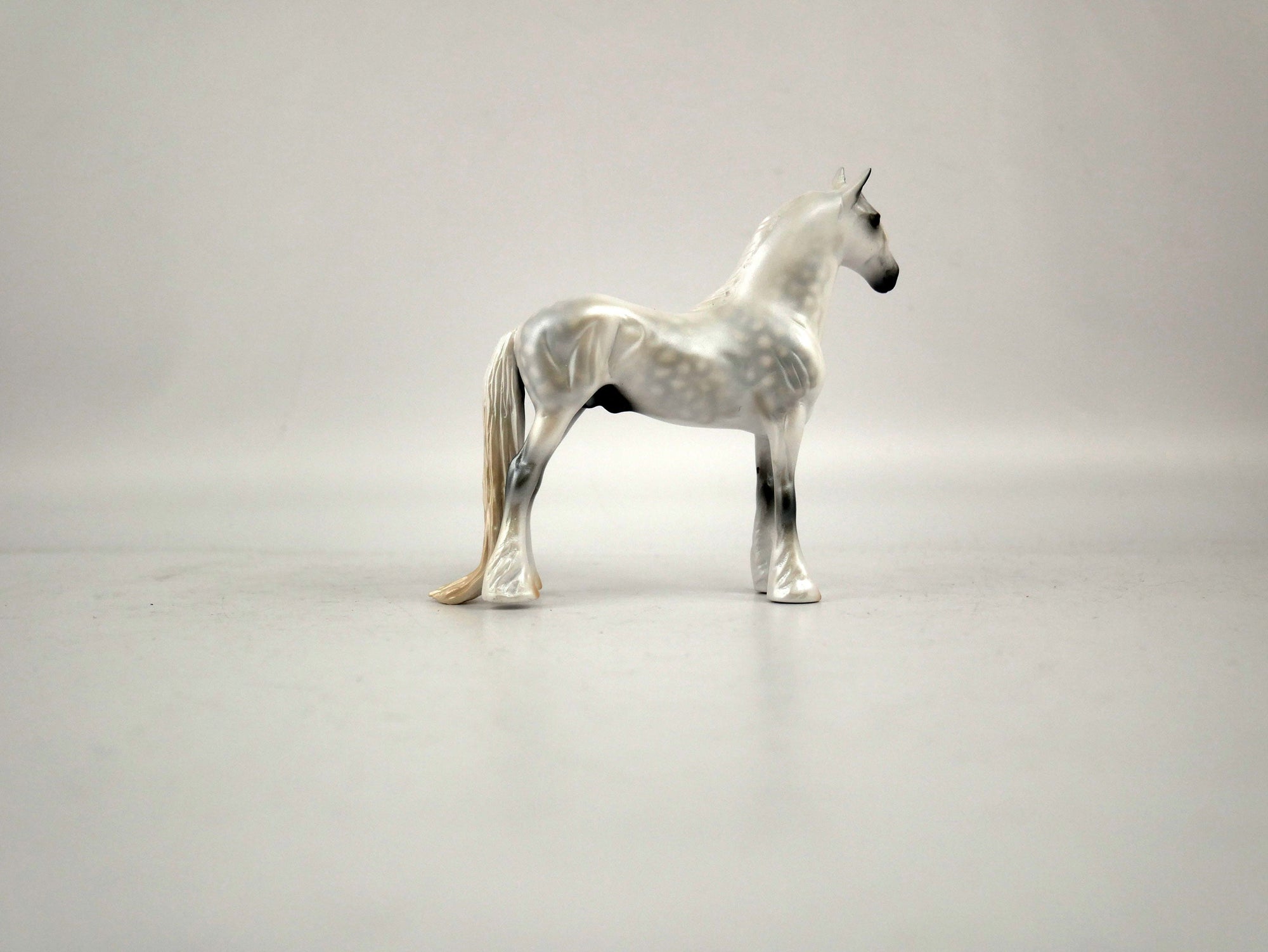 What is inside the Box&gt; Champ 12/20