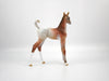 Champ-OOAK Chestnut Arabian Foal Painted by Dawn Quick SB21