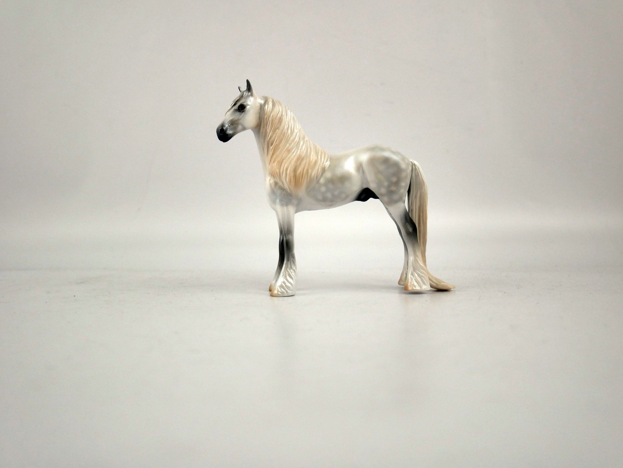 What is inside the Box> Champ 12/20