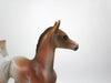 Champ-OOAK Chestnut Arabian Foal Painted by Dawn Quick SB21