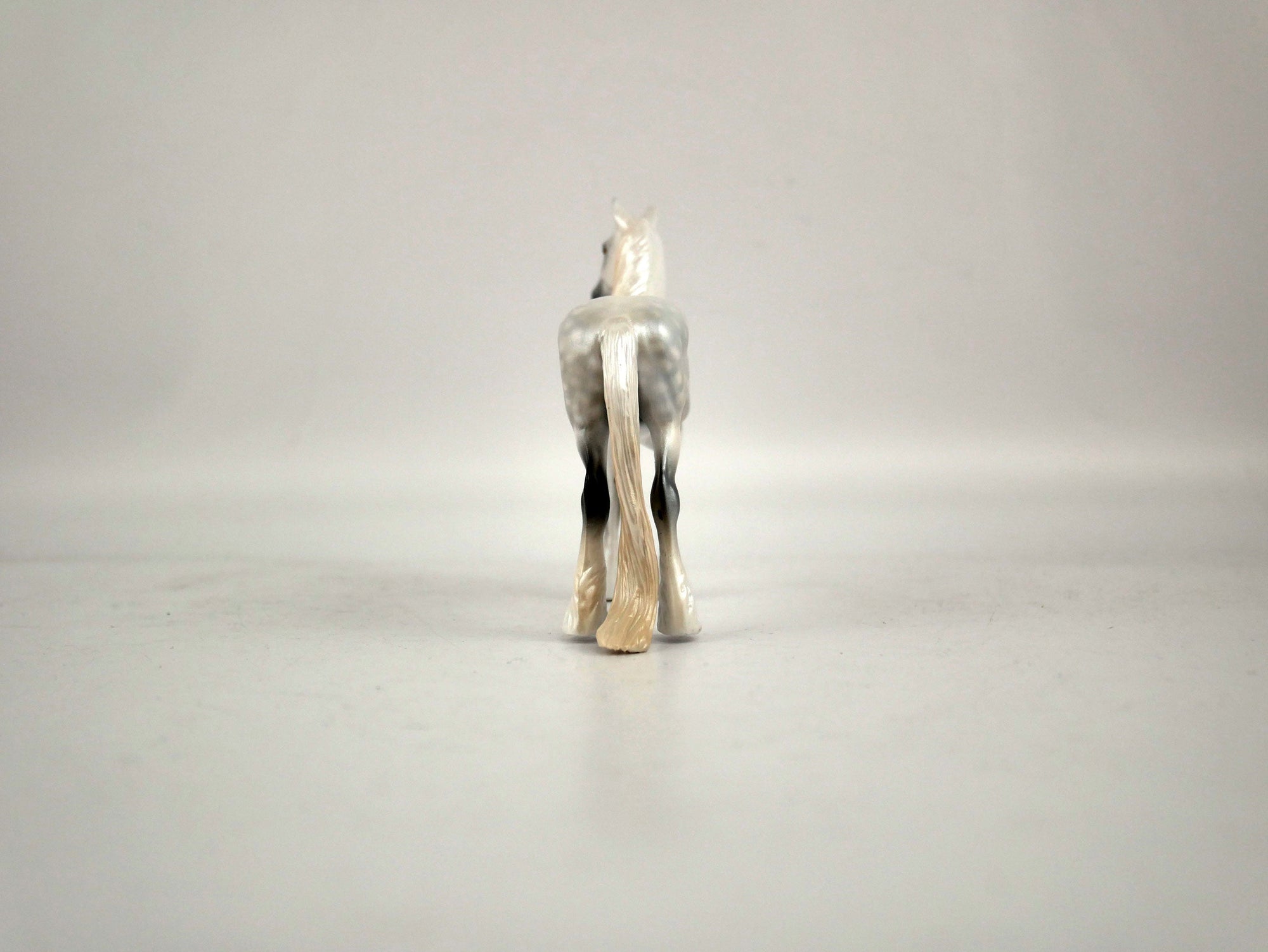 What is inside the Box&gt; Champ 12/20