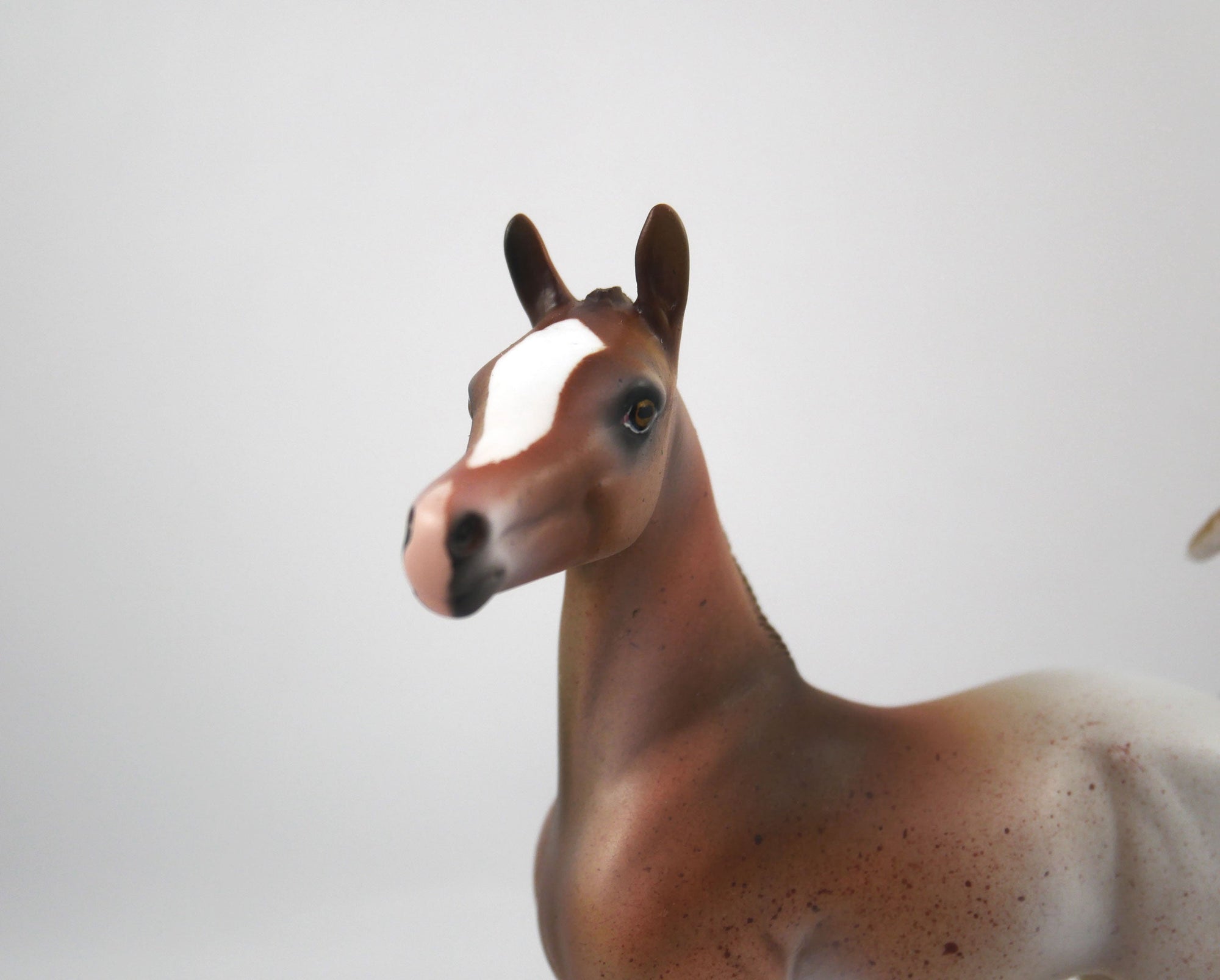 Champ-OOAK Chestnut Arabian Foal Painted by Dawn Quick SB21