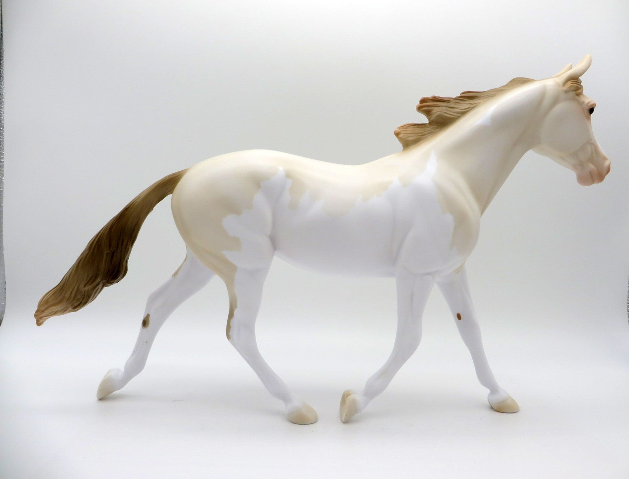 Champagne Pearl OOAK Palouse SHCF 2021