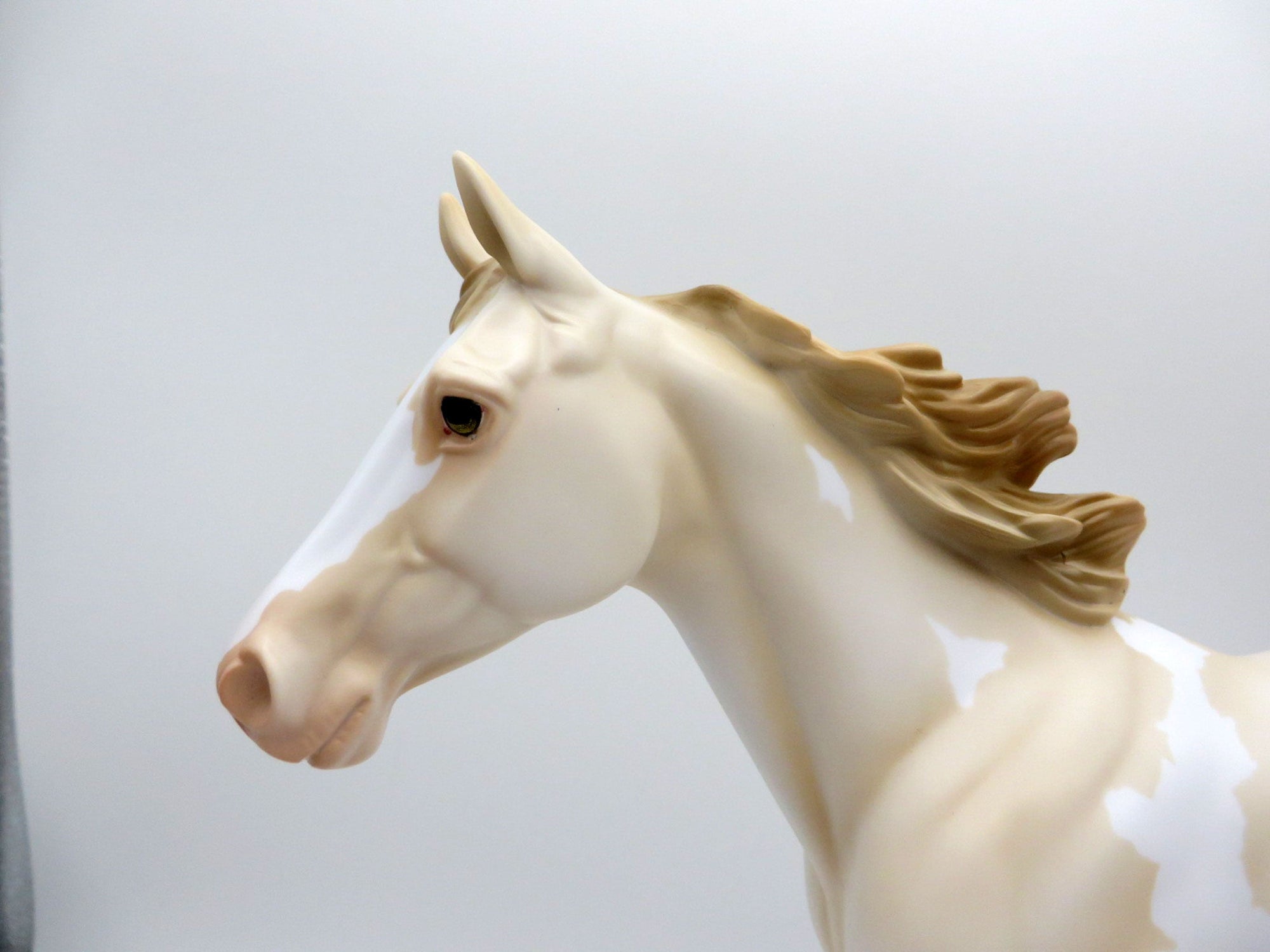 Champagne Pearl OOAK Palouse SHCF 2021