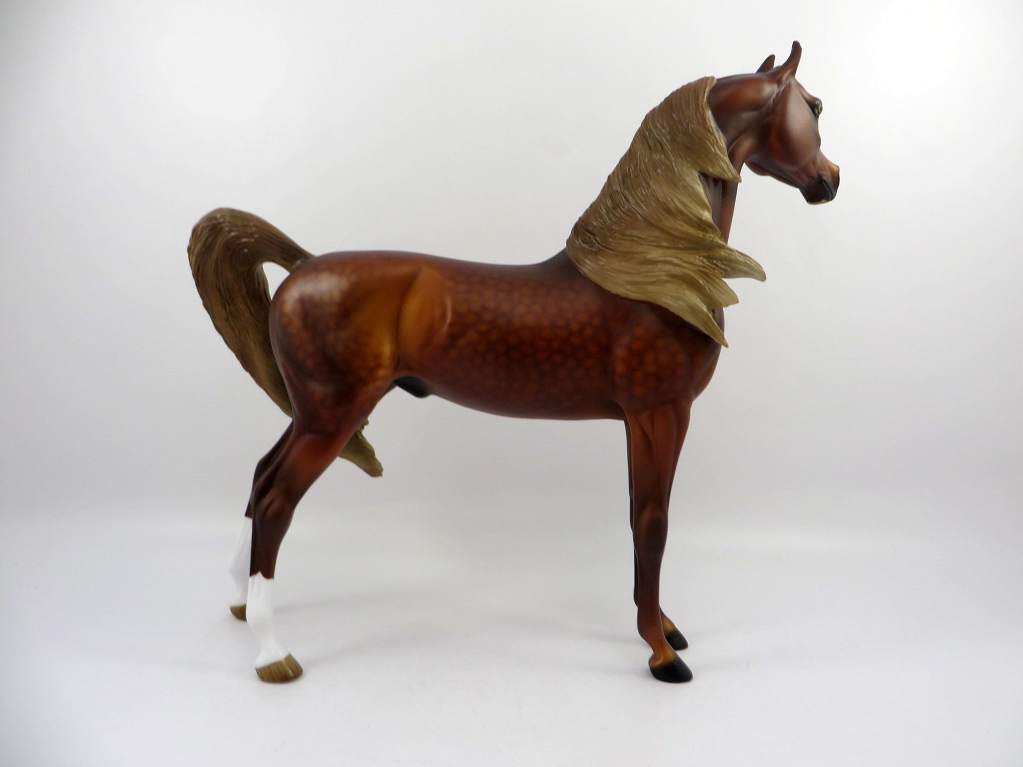 Champion-OOAK Dapple Chestnut Arabian  3/21