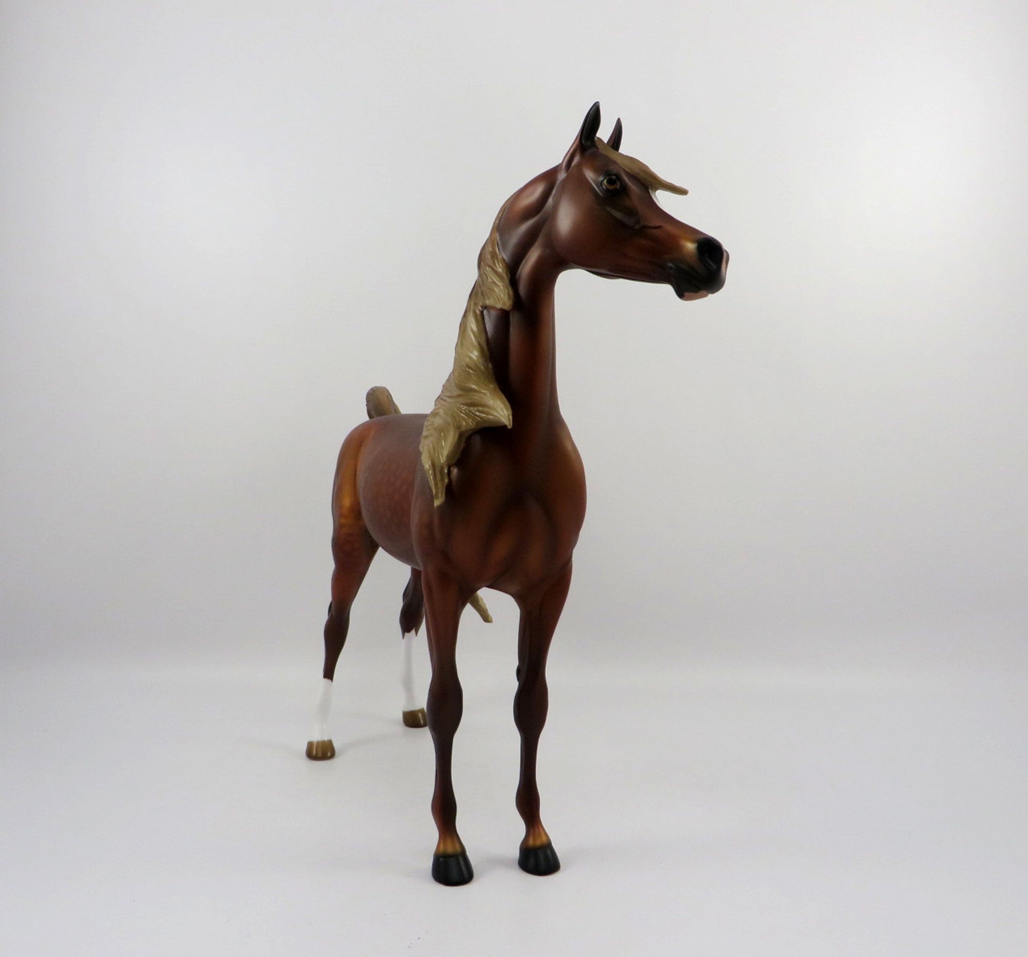 Champion-OOAK Dapple Chestnut Arabian  3/21