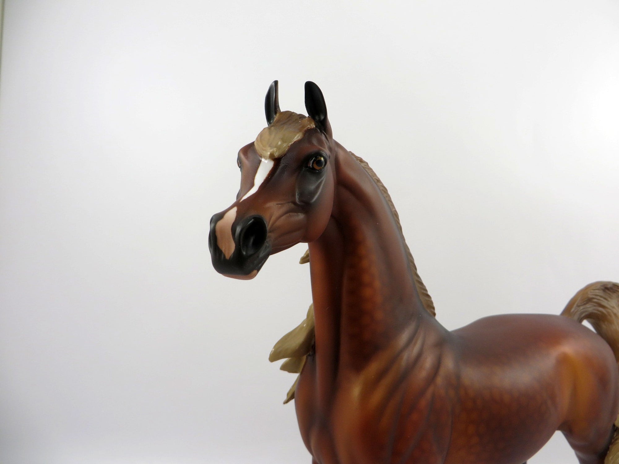 Champion-OOAK Dapple Chestnut Arabian  3/21