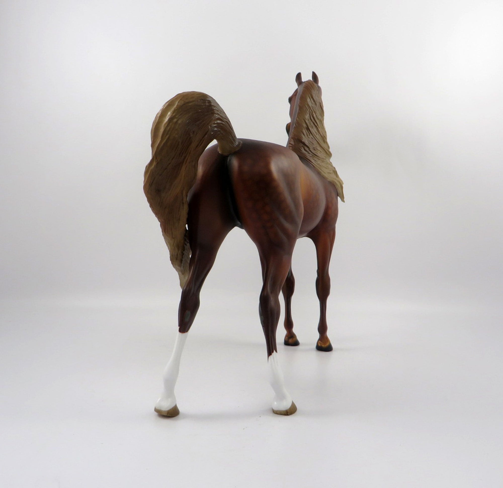 Champion-OOAK Dapple Chestnut Arabian  3/21