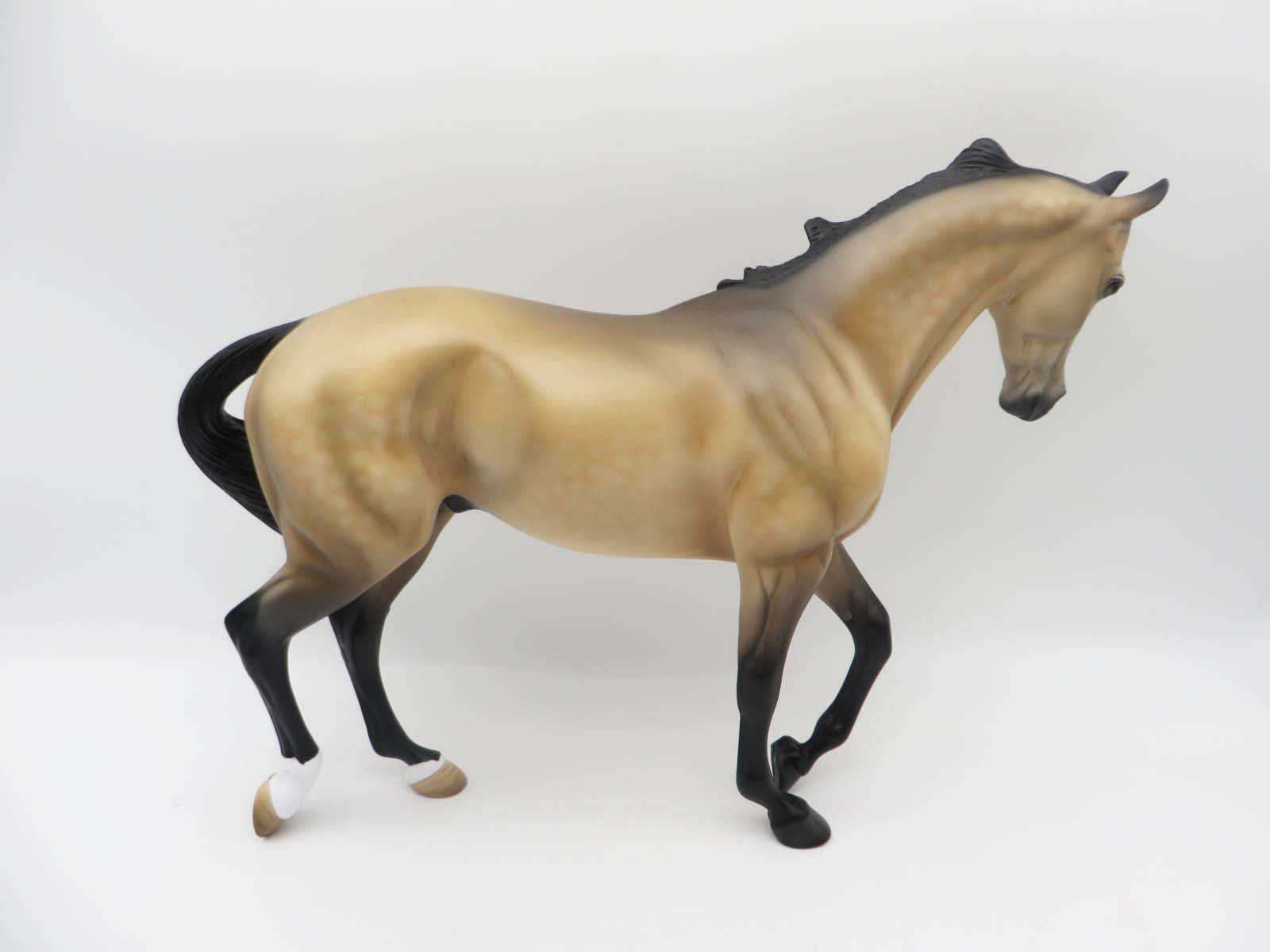 Chaps OOAK Bucskin Thoroughnred By Angela Marleau SHCF 23